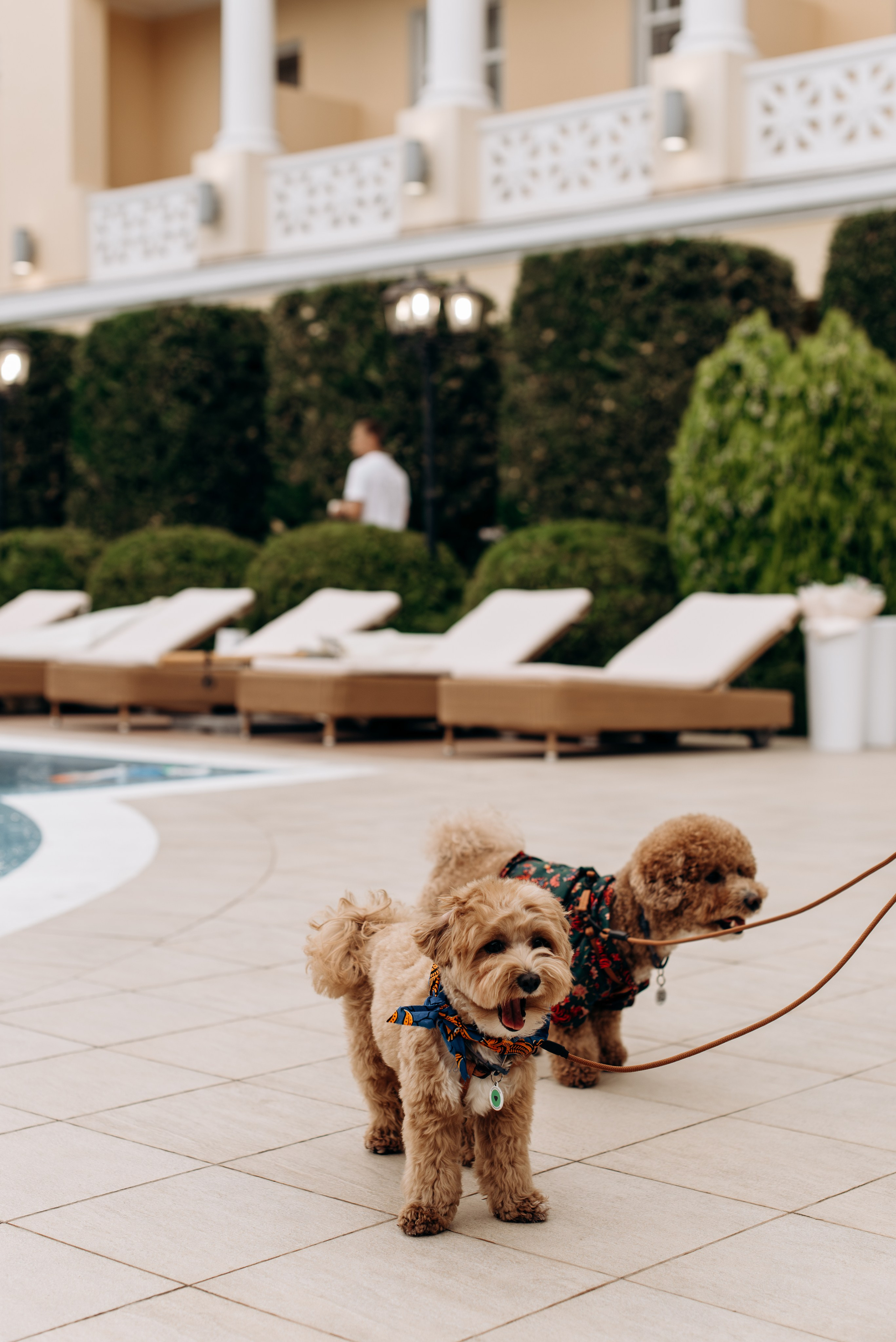 *. Wedding and family photographer San Diego