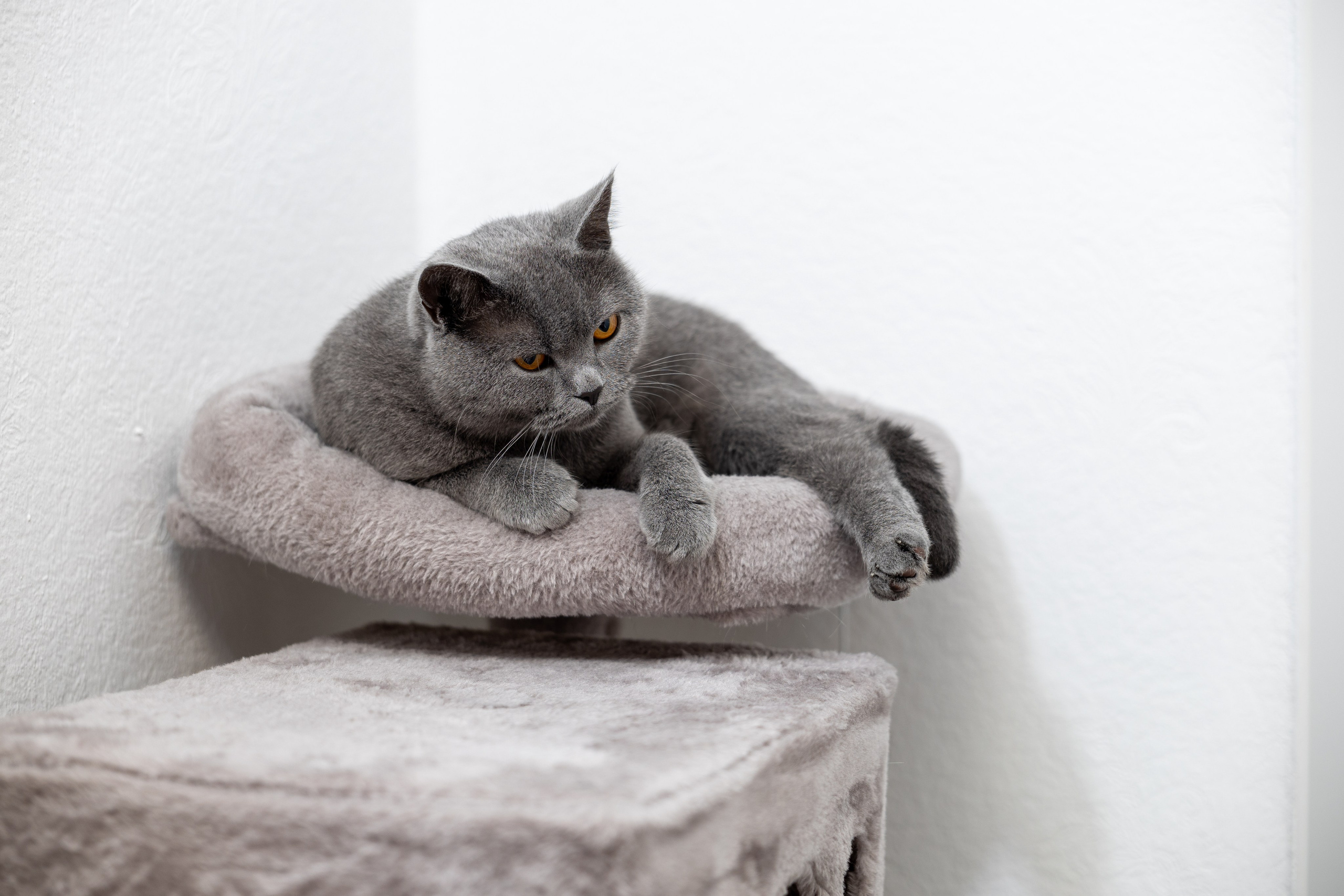 Fotografie cu suflet – Amintiri care trăiesc peste timp. ---- Fotografie mit Herz – Erinnerungen, die bleiben