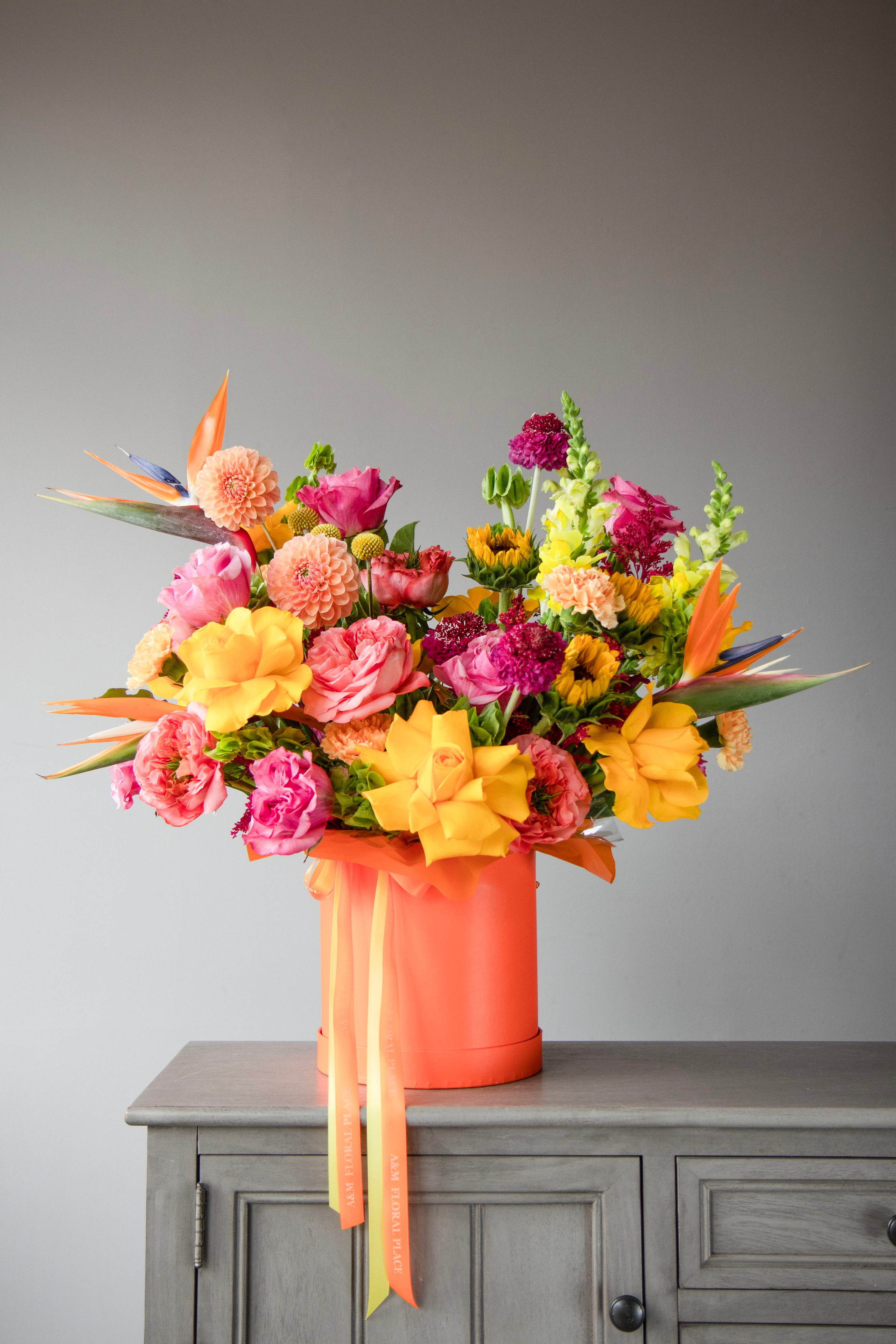 043. Palagina Ksusha, photographer in NY