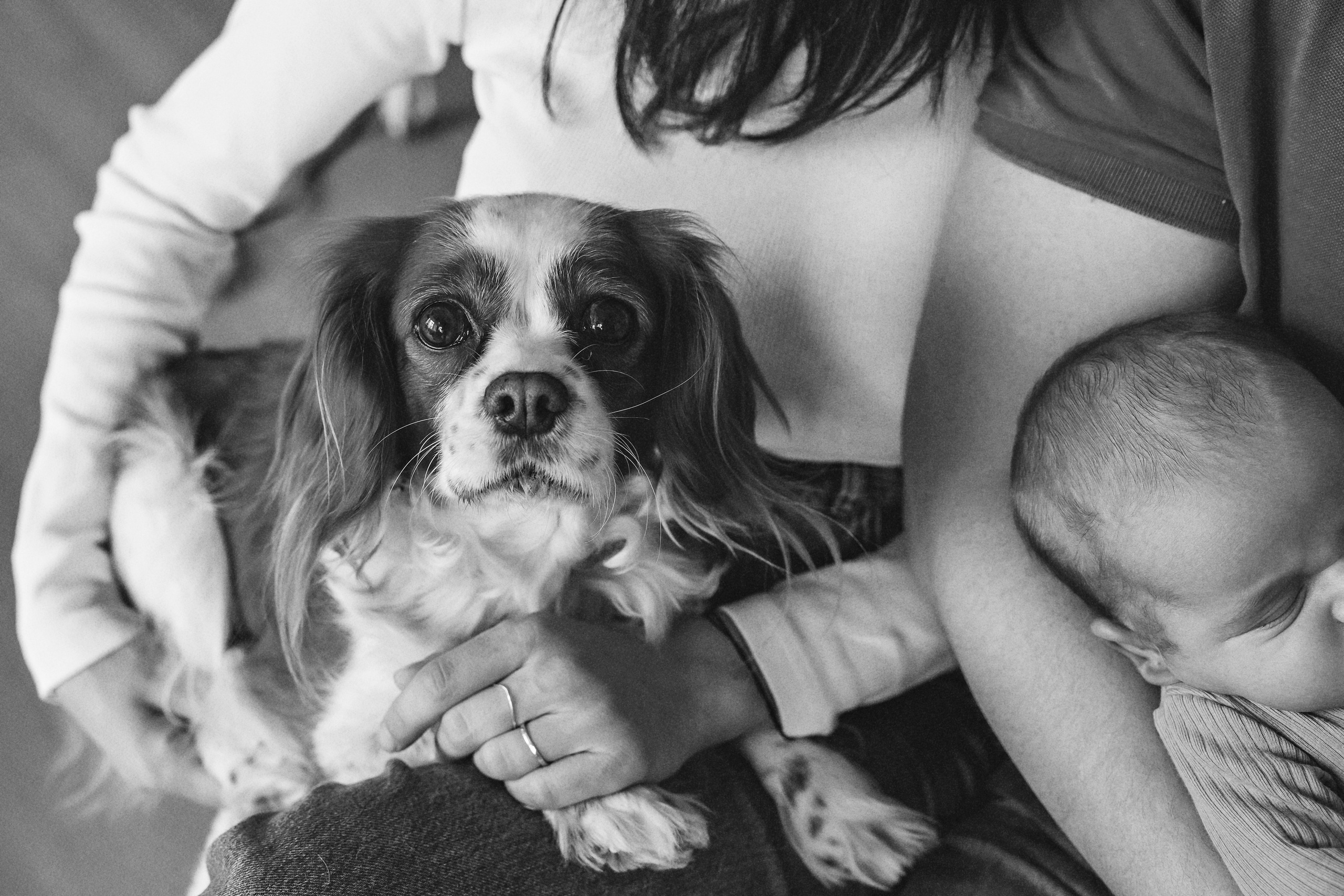 Фотосесия за новородено. Фотограф Ирина Йотова