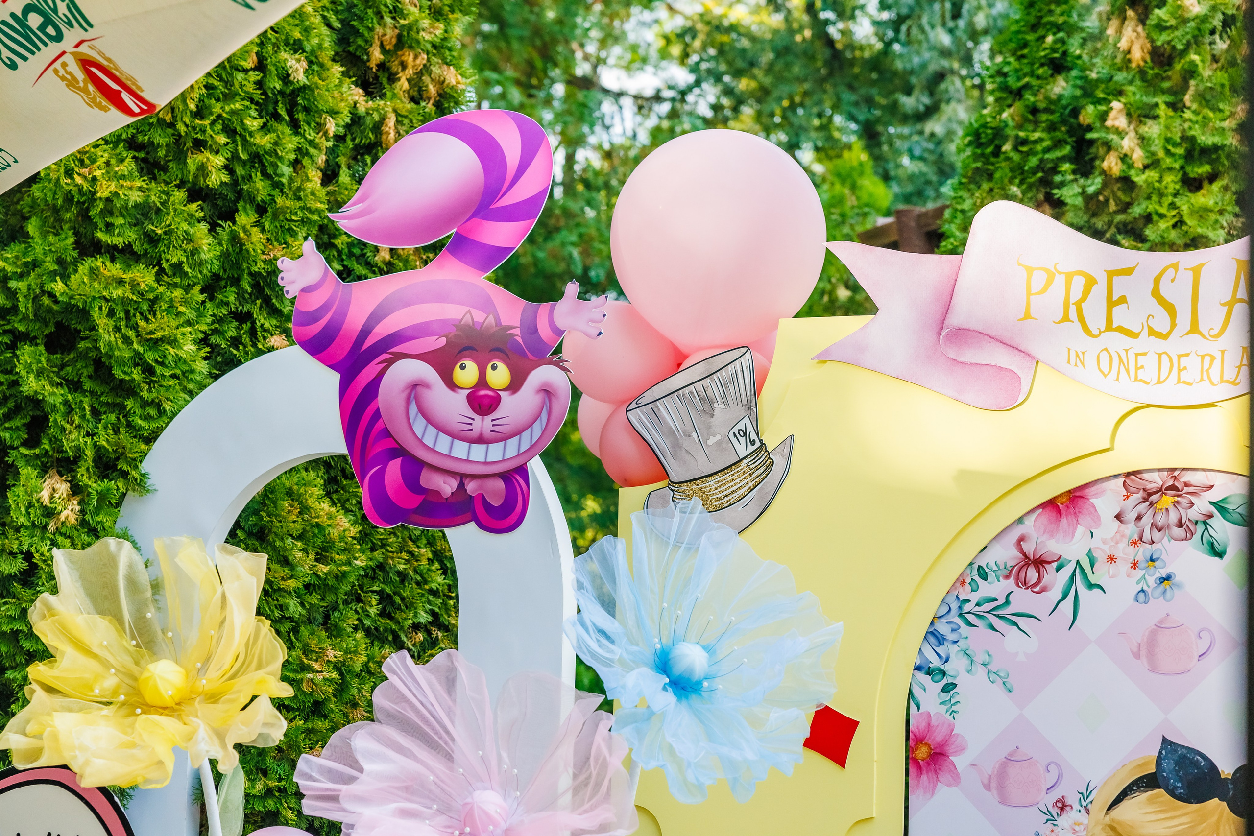 Честит 1 Рожден Ден. Фотограф Ирина Йотова