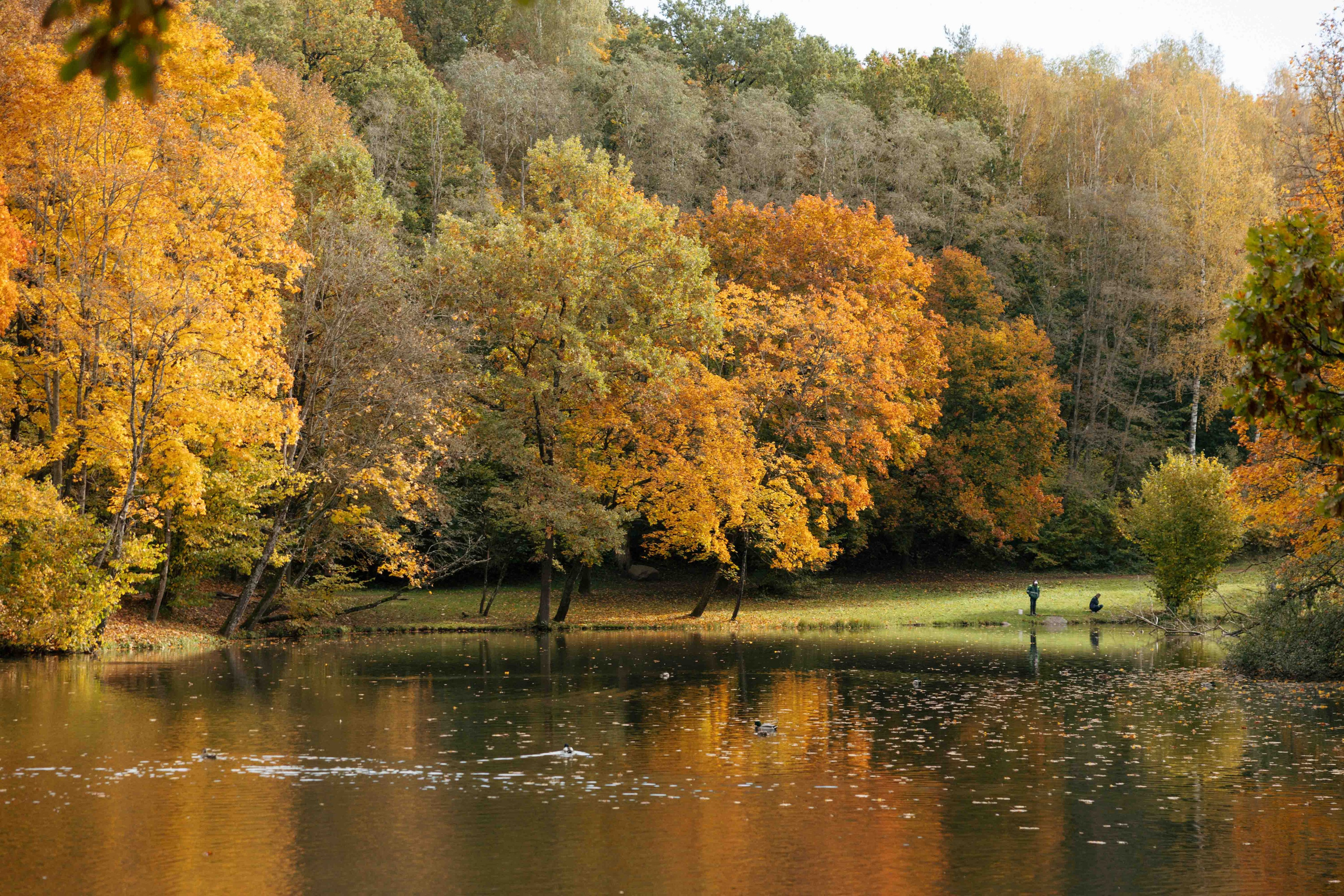 Best Autumn Photoshoot Locations in Vilnius: Top Spots to Capture the Fall Colors. Framed by Evelina | Destination Wedding Photographer from Lithuania | Europe
