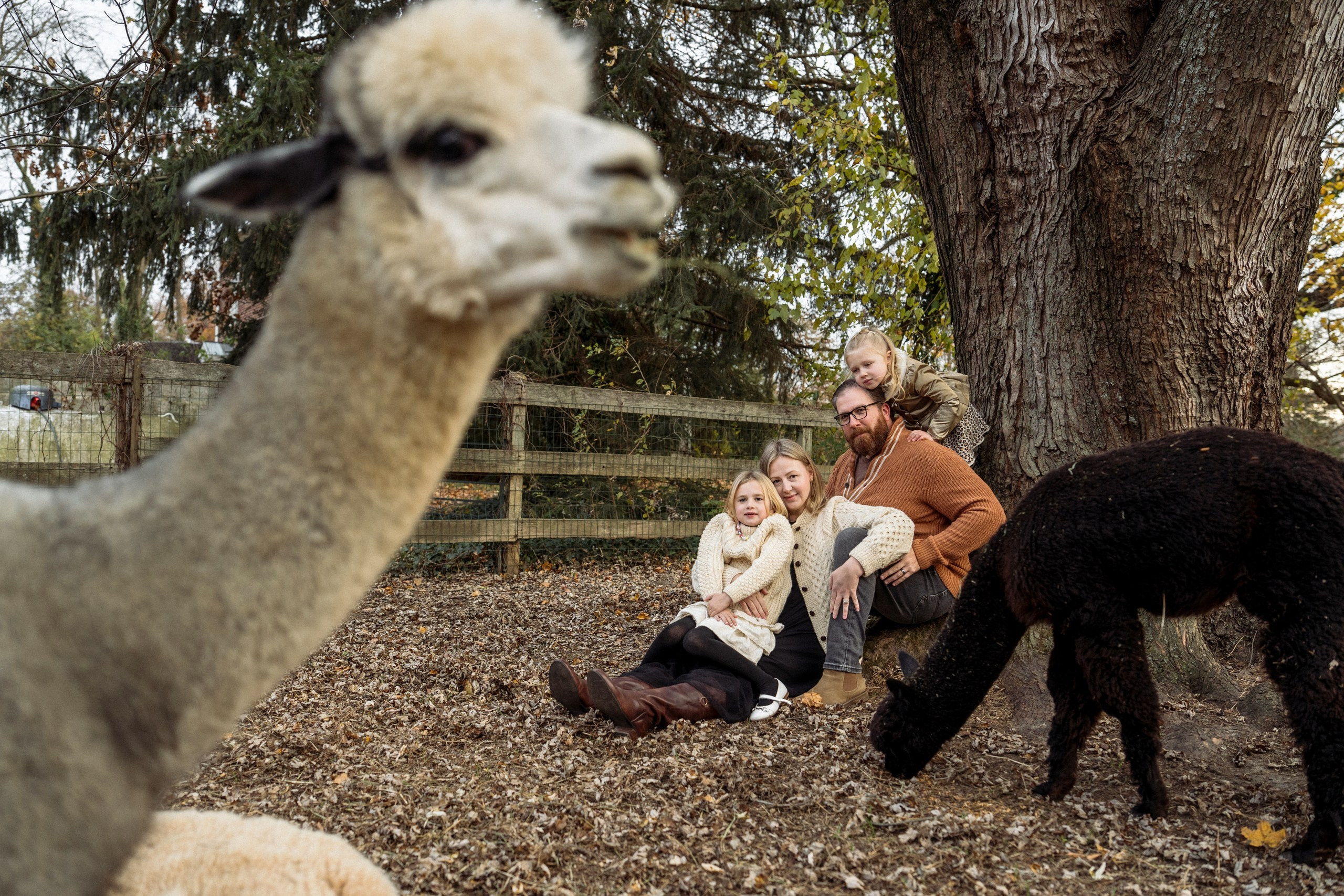Anna, Stephen, Maribel and Maya. Alisa Tant — Family and newborn photographer Bucks County, Montgomery county, Philadelphia, NJ