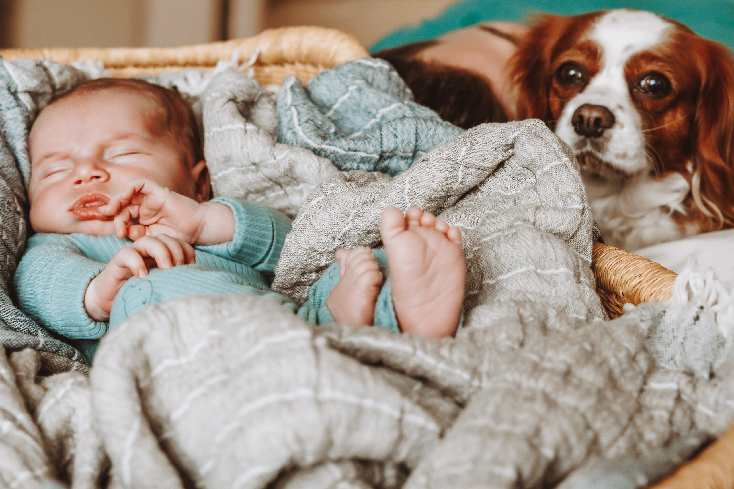 Фотосесия за новородено. Фотограф Ирина Йотова