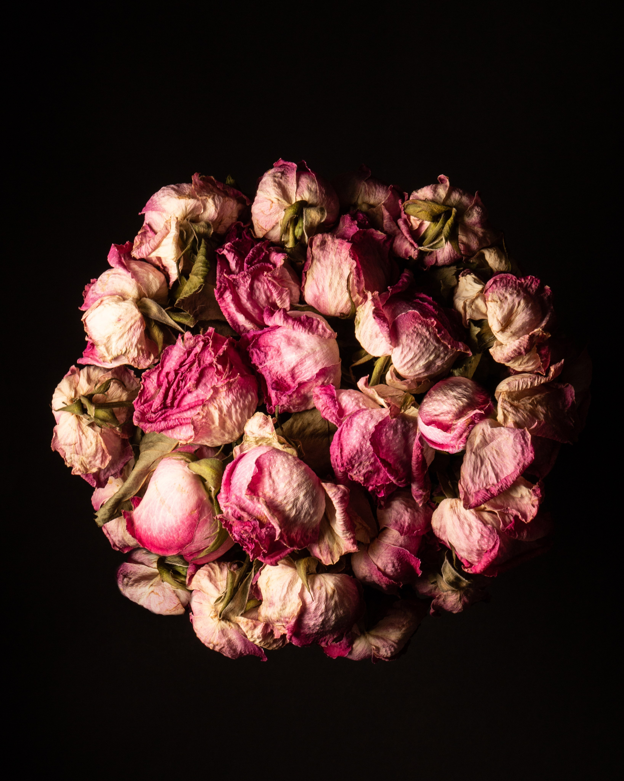 Artistic arrangement of dried pink rosebuds in a circular form on a black background, highlighting floral symmetry and romance in decay