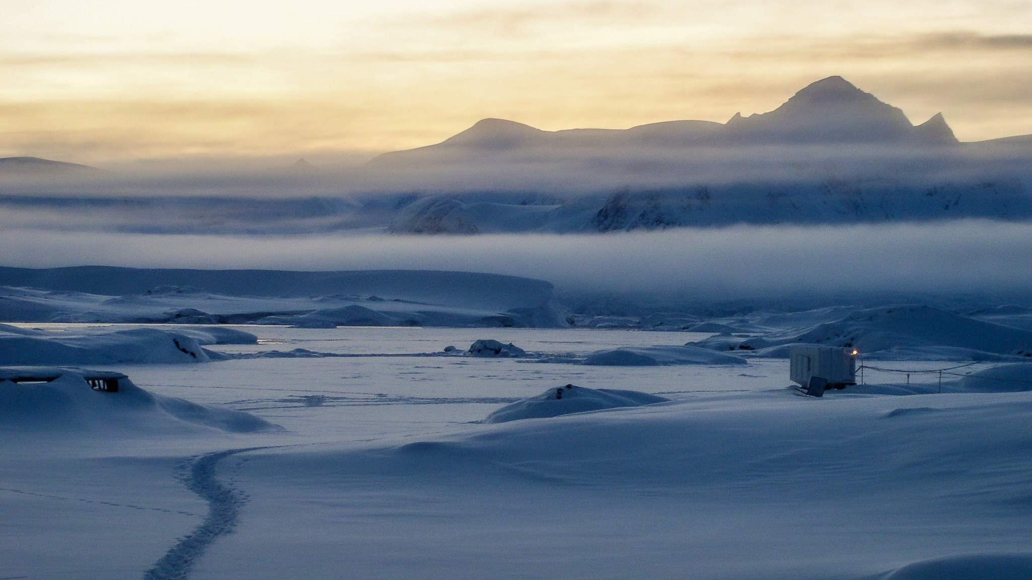 ANTARCTICA / 2004. Reportage concert portrait photography in the San Francisco Bay Area
