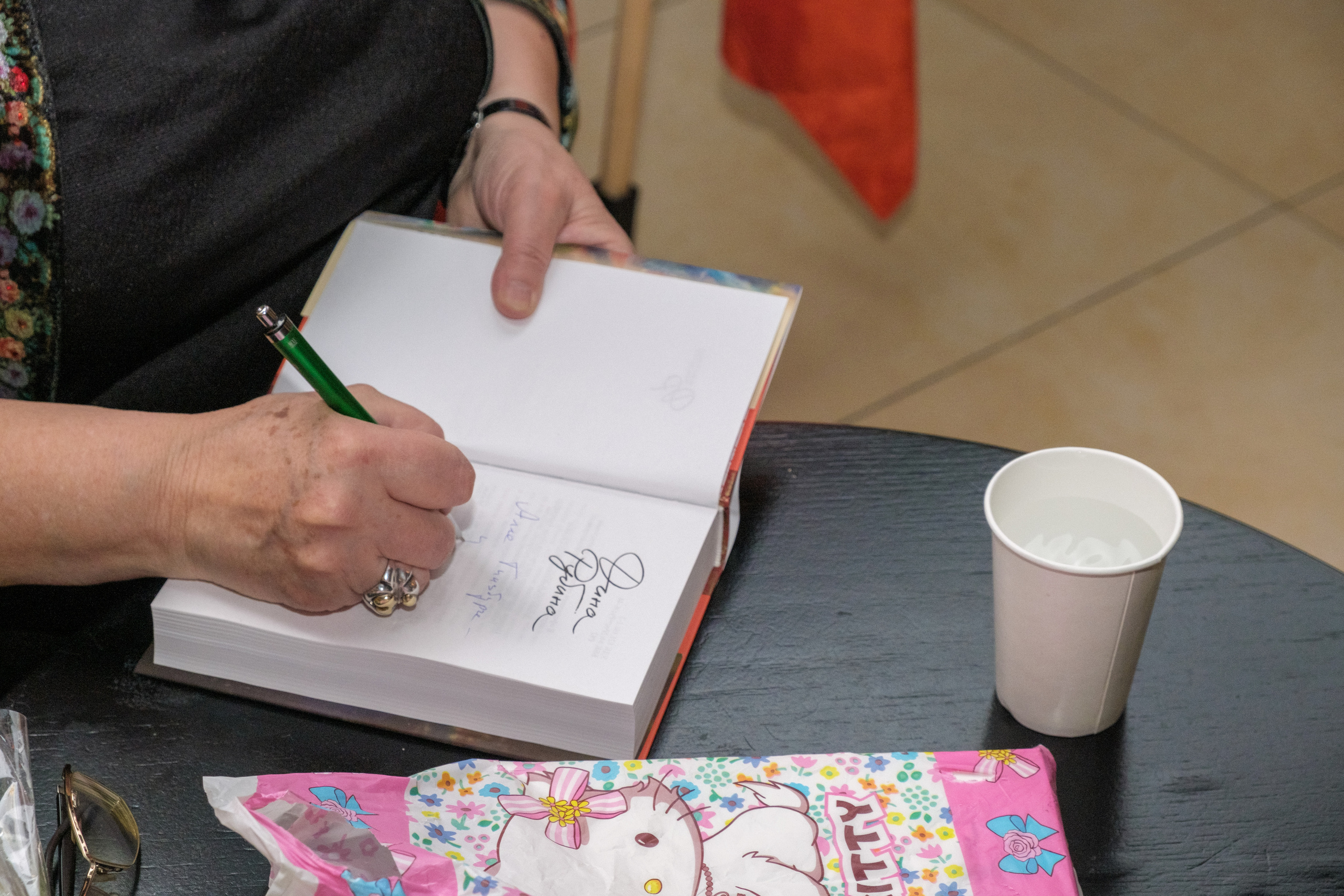 ДИНА РУБИНА. Middle East Photo Agency — Свадьбы, Бар и Бат-мицва, Брит, Театр, Магниты, Портреты