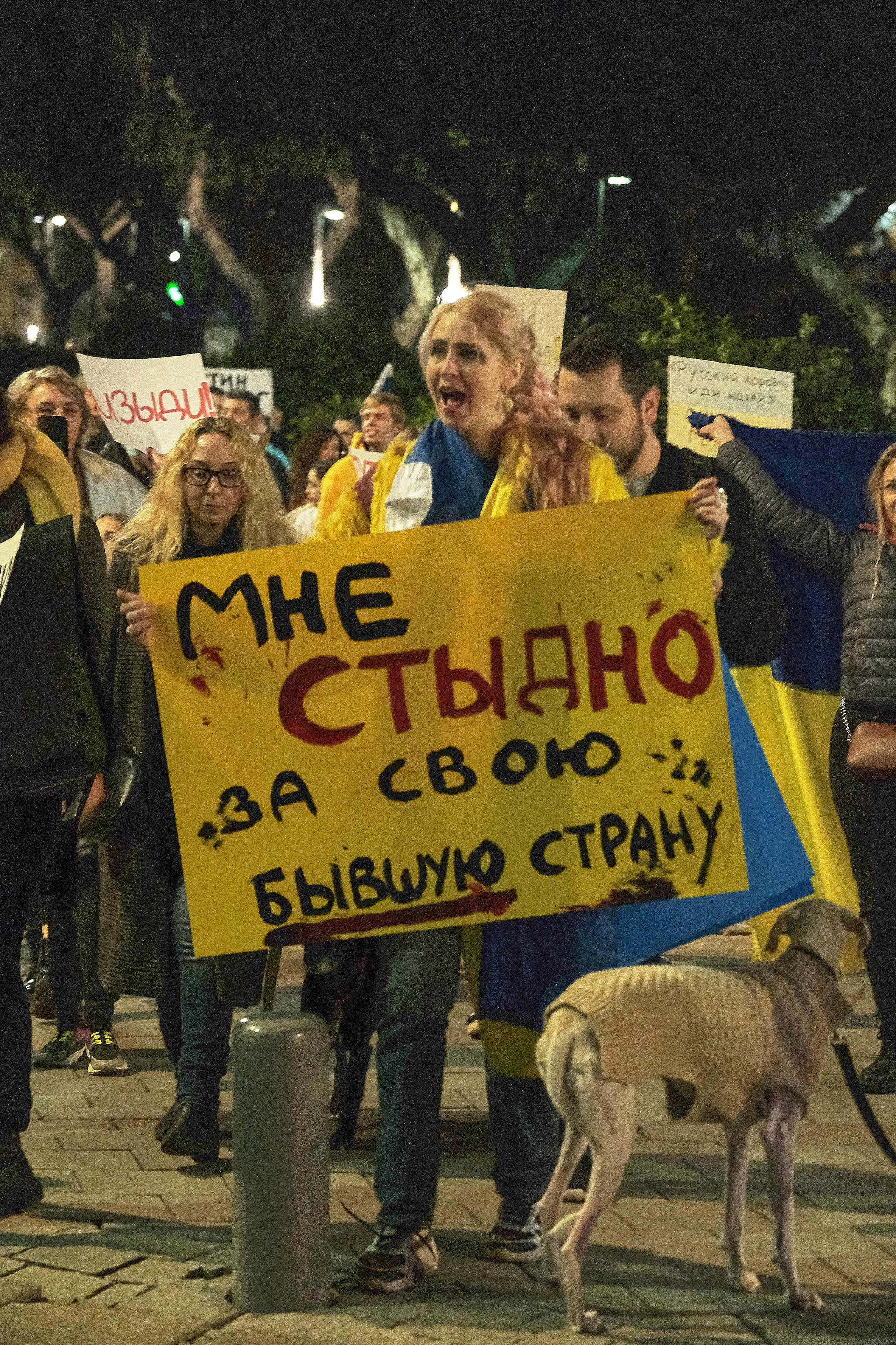 Special Report. Tel Aviv. Protest Against War. Middle East Photo Agency — Свадьбы, Бар и Бат-мицва, Брит, Театр, Магниты, Портреты