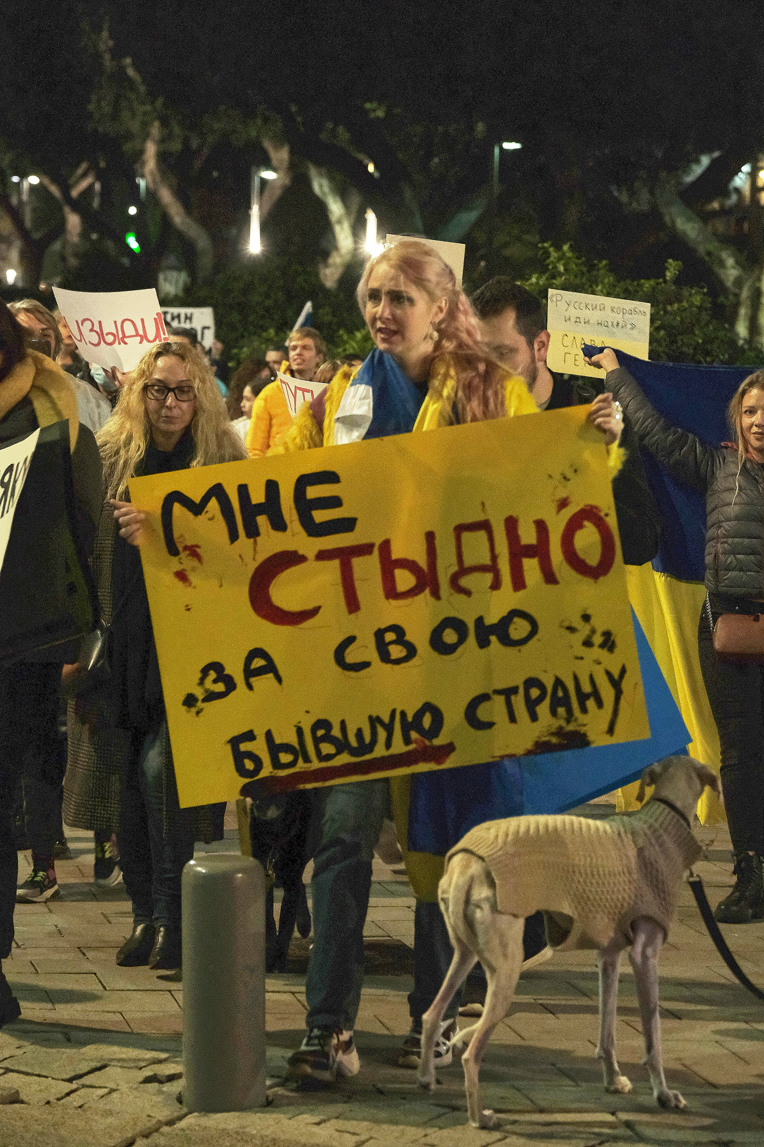 Special Report. Tel Aviv. Protest Against War. Middle East Photo Agency — Свадьбы, Бар и Бат-мицва, Брит, Театр, Магниты, Портреты
