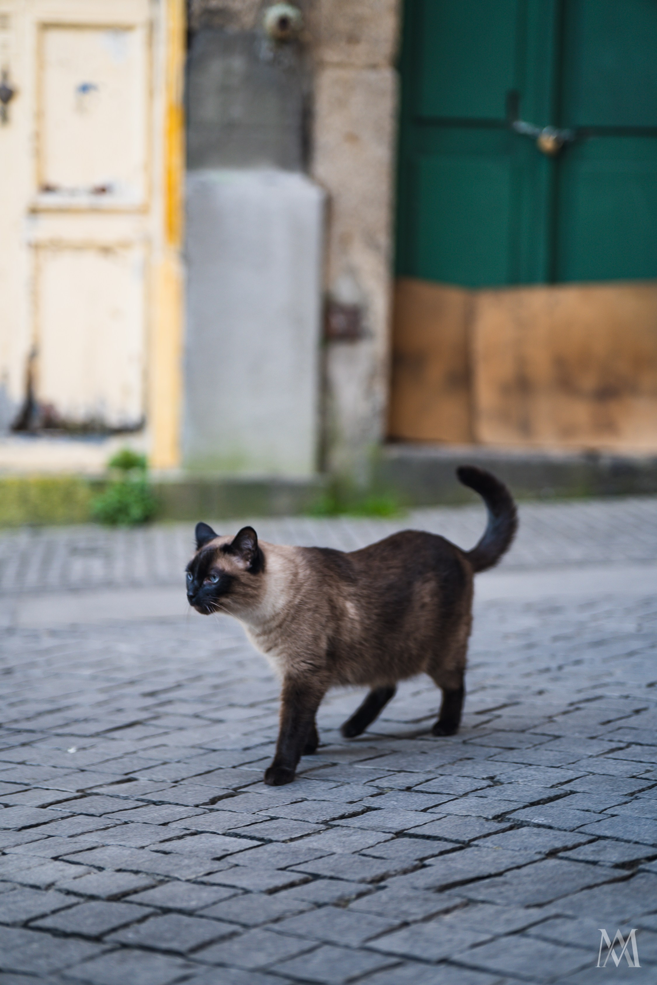 PORTO. MA Visuals — Fotografia e Vídeo