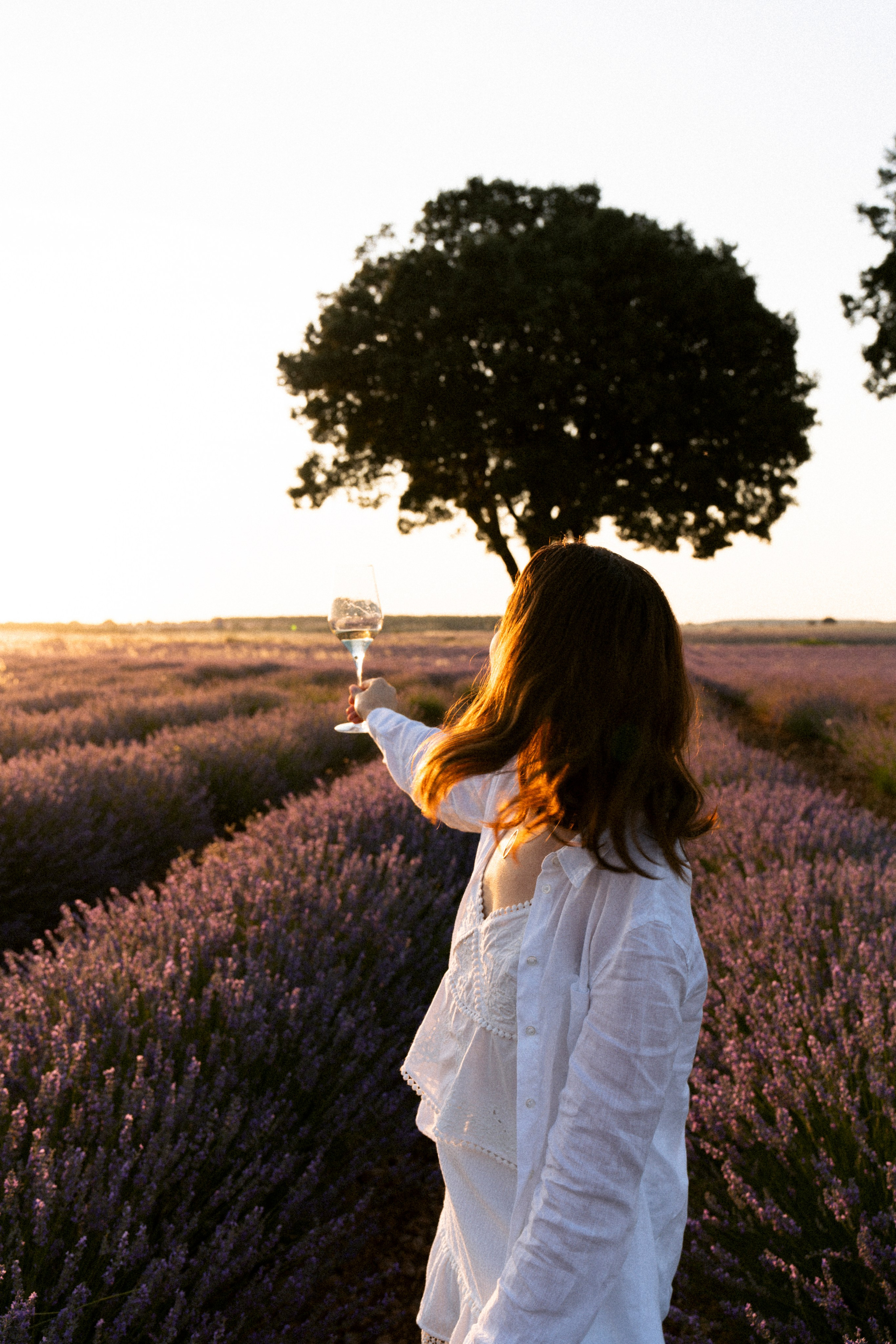 Испанский Прованс (рассвет). ...........