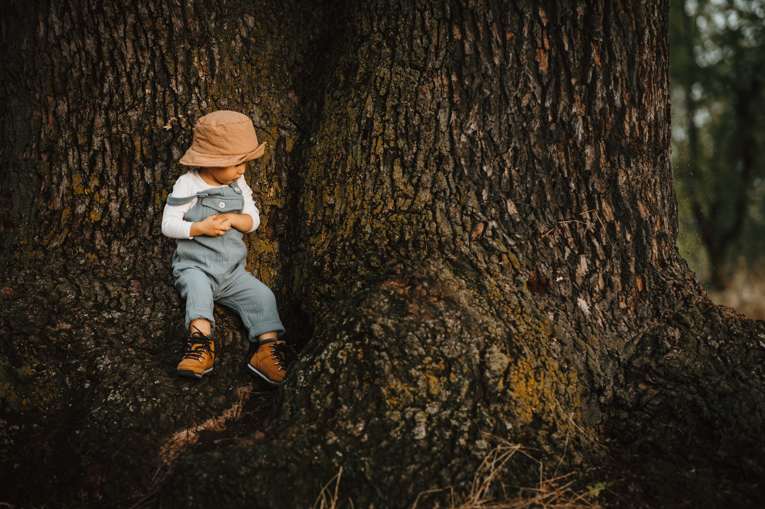 Ședință Foto. Fotograf de eveniment din Buzău | Bogdan