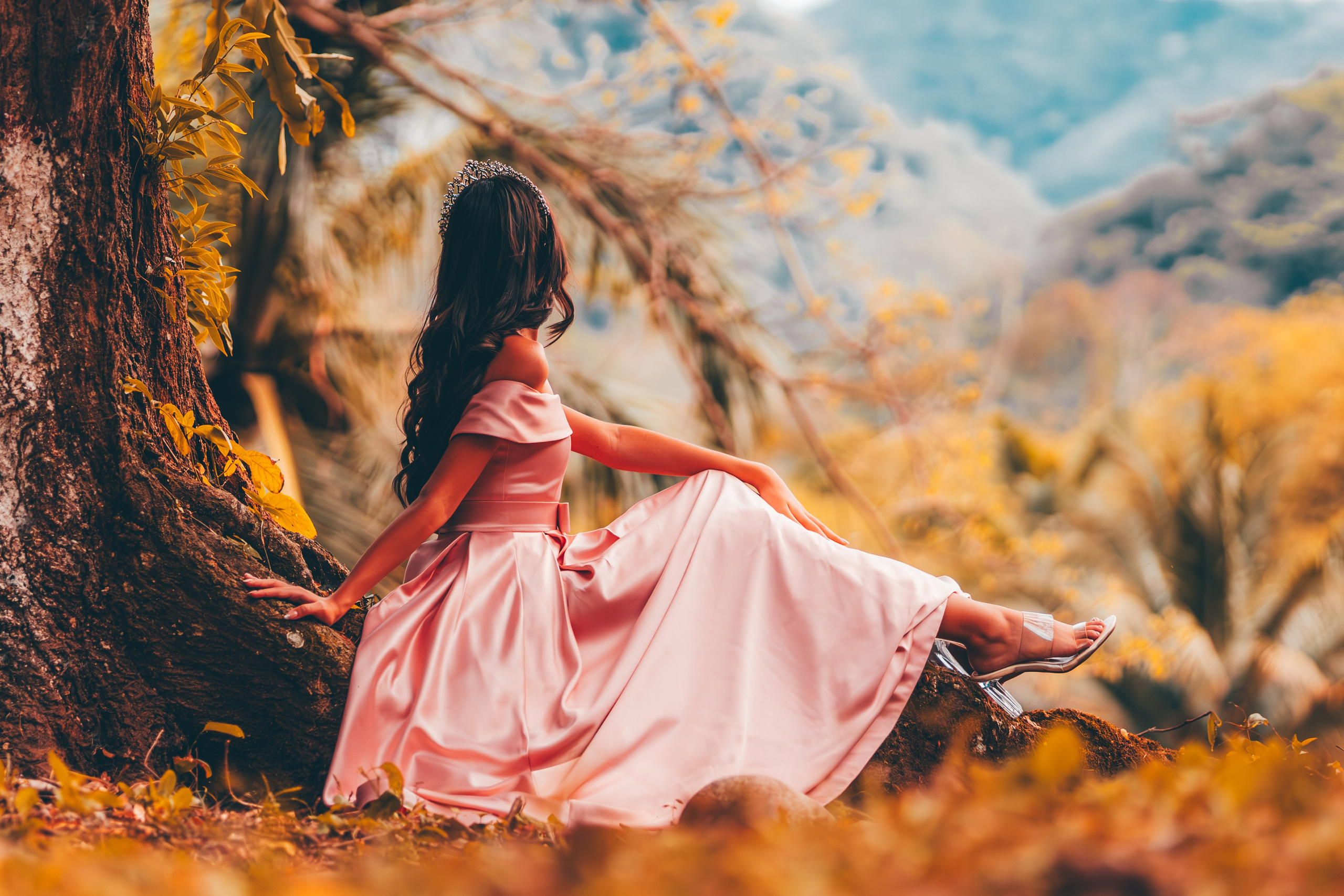QUINCE AÑOS. Fotográfo Andres Jaimes