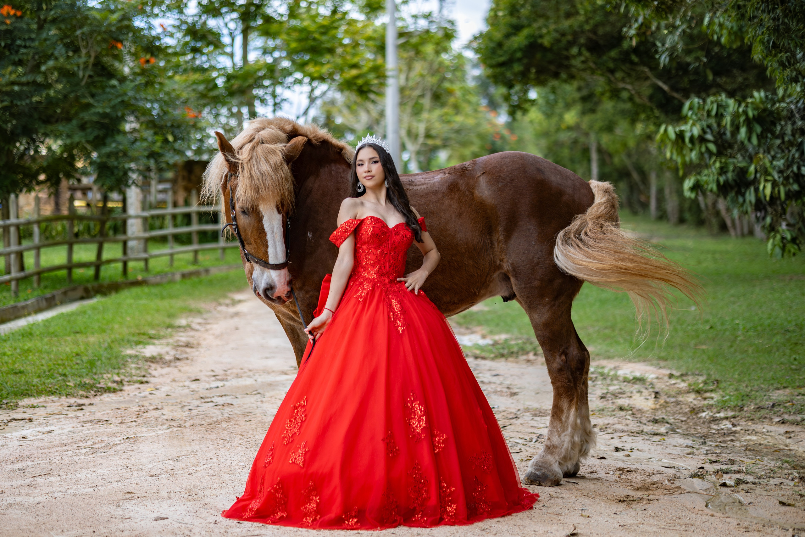 QUINCE AÑOS. Fotográfo Andres Jaimes