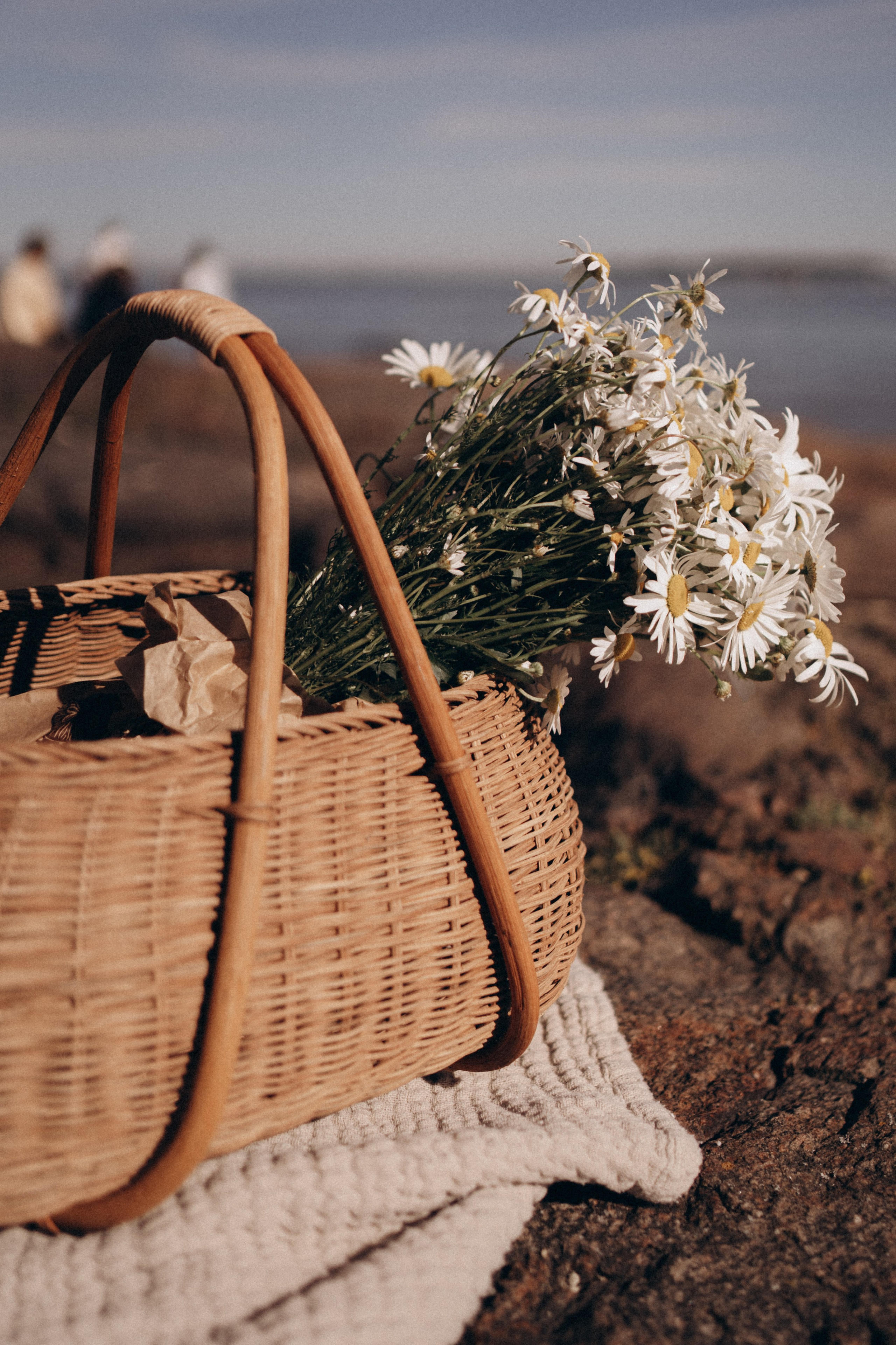 Sunny day on the cliffs. Family photographer in Helsinki, Victoria Guadagno