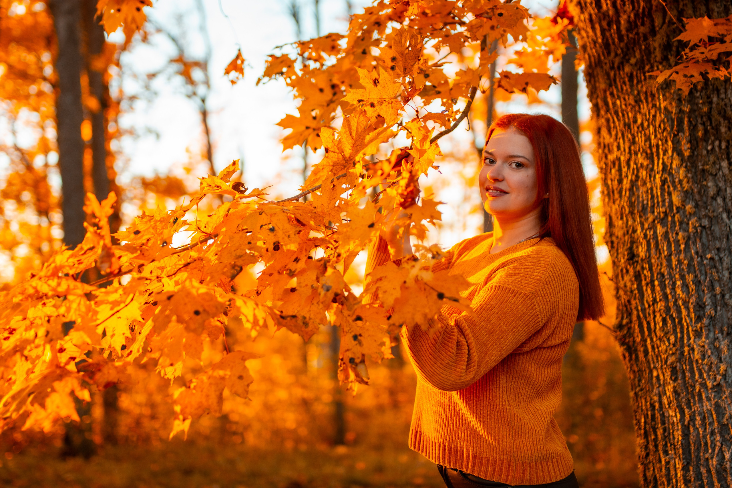 Золотая осень. Fotogrāfs Aivars MIleika