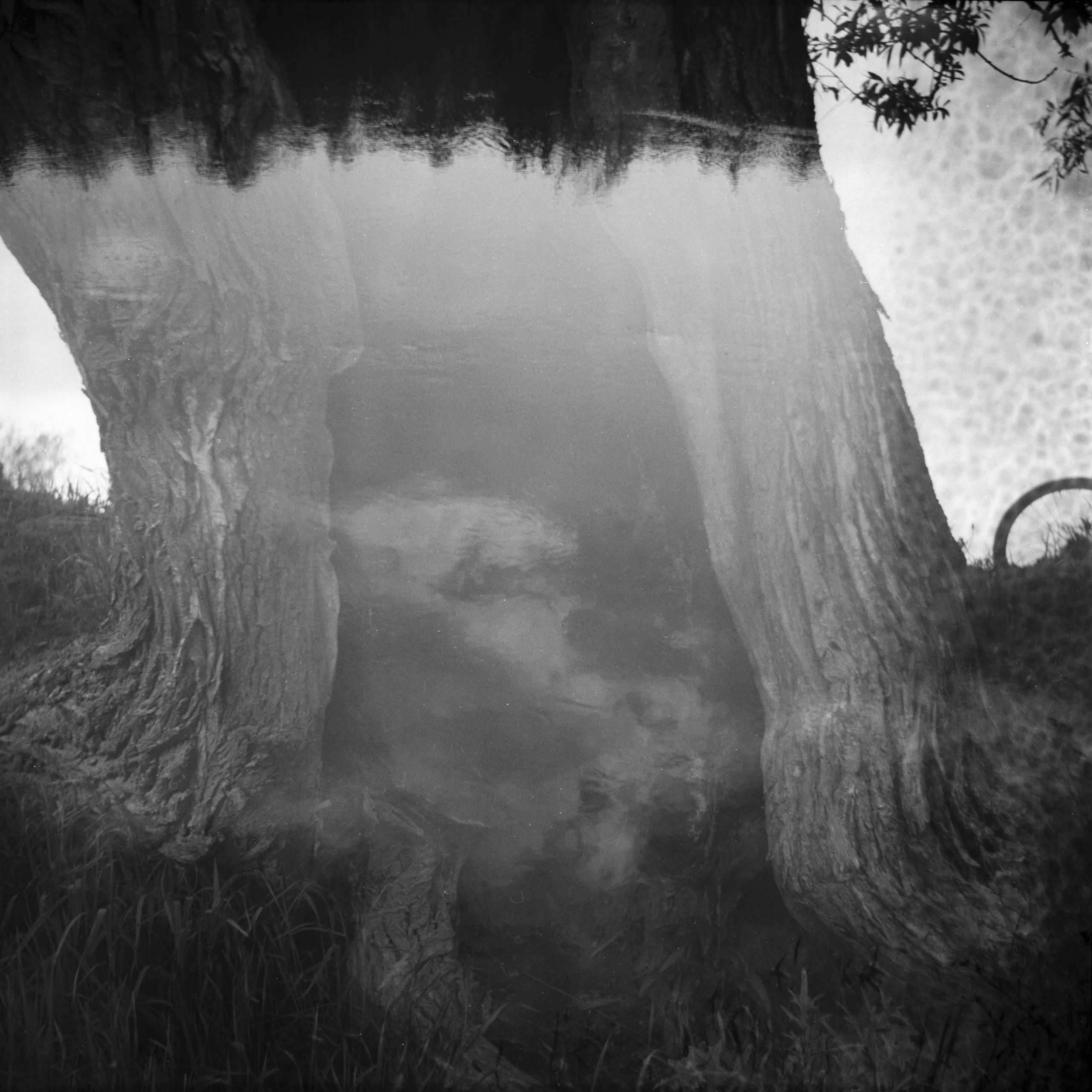 Tender Infinite Souls. Natalia Parfenova visual artist film photographer