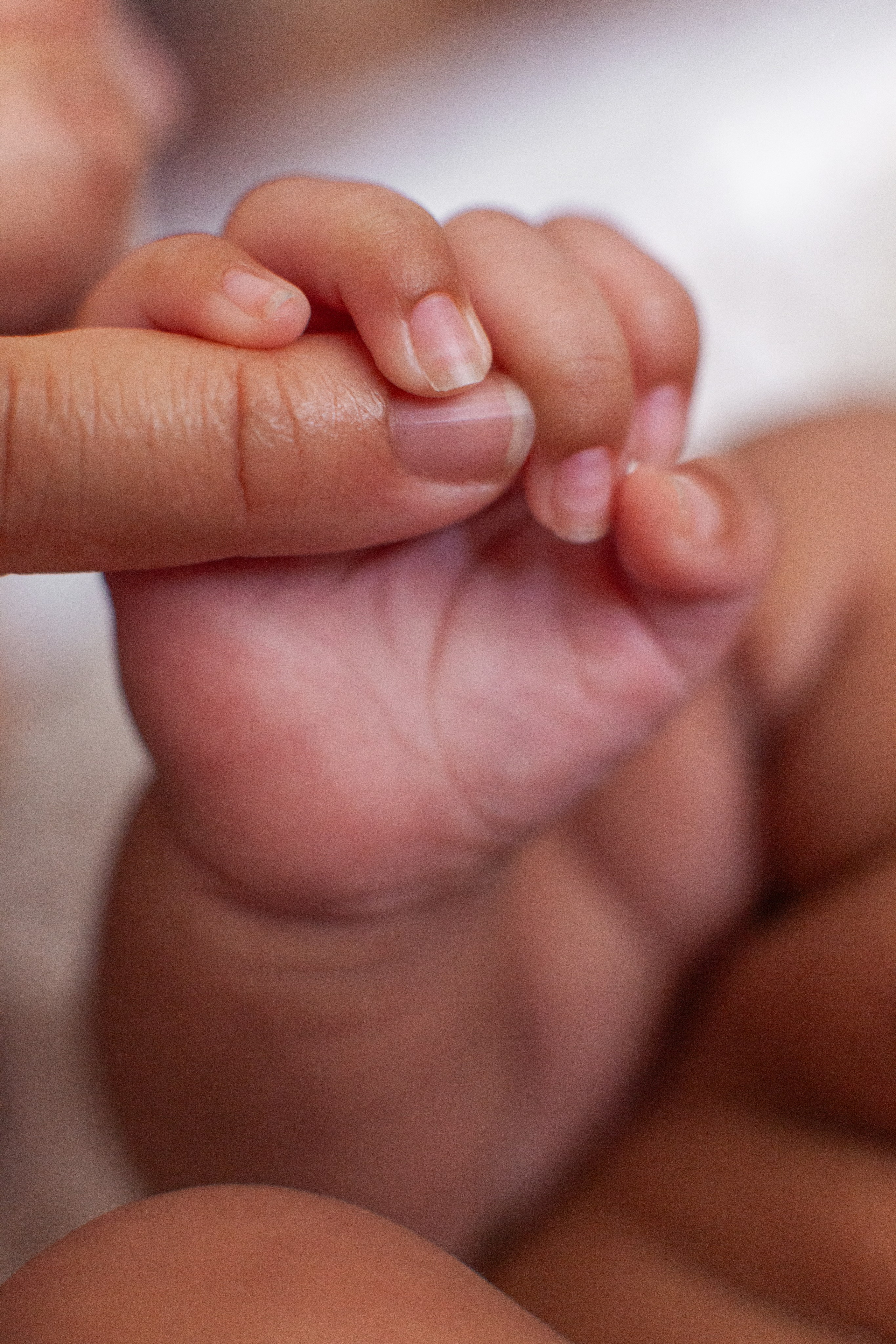 Older newborns. Marina Pravda Photography San Francisco Bay Area
