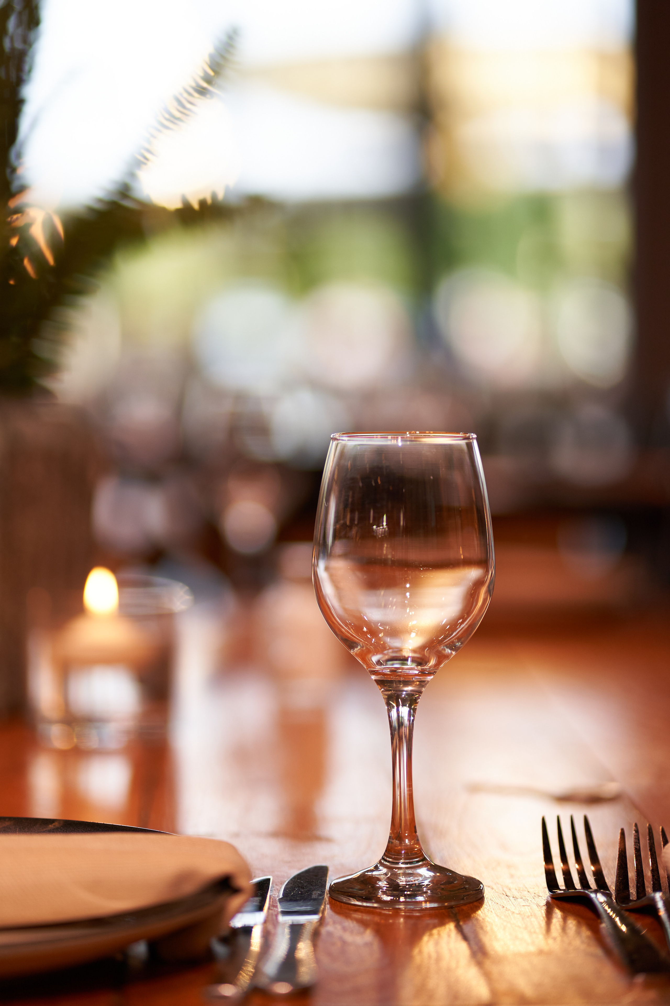 Daniel&Atara. צלם אלכס ברט בישראל