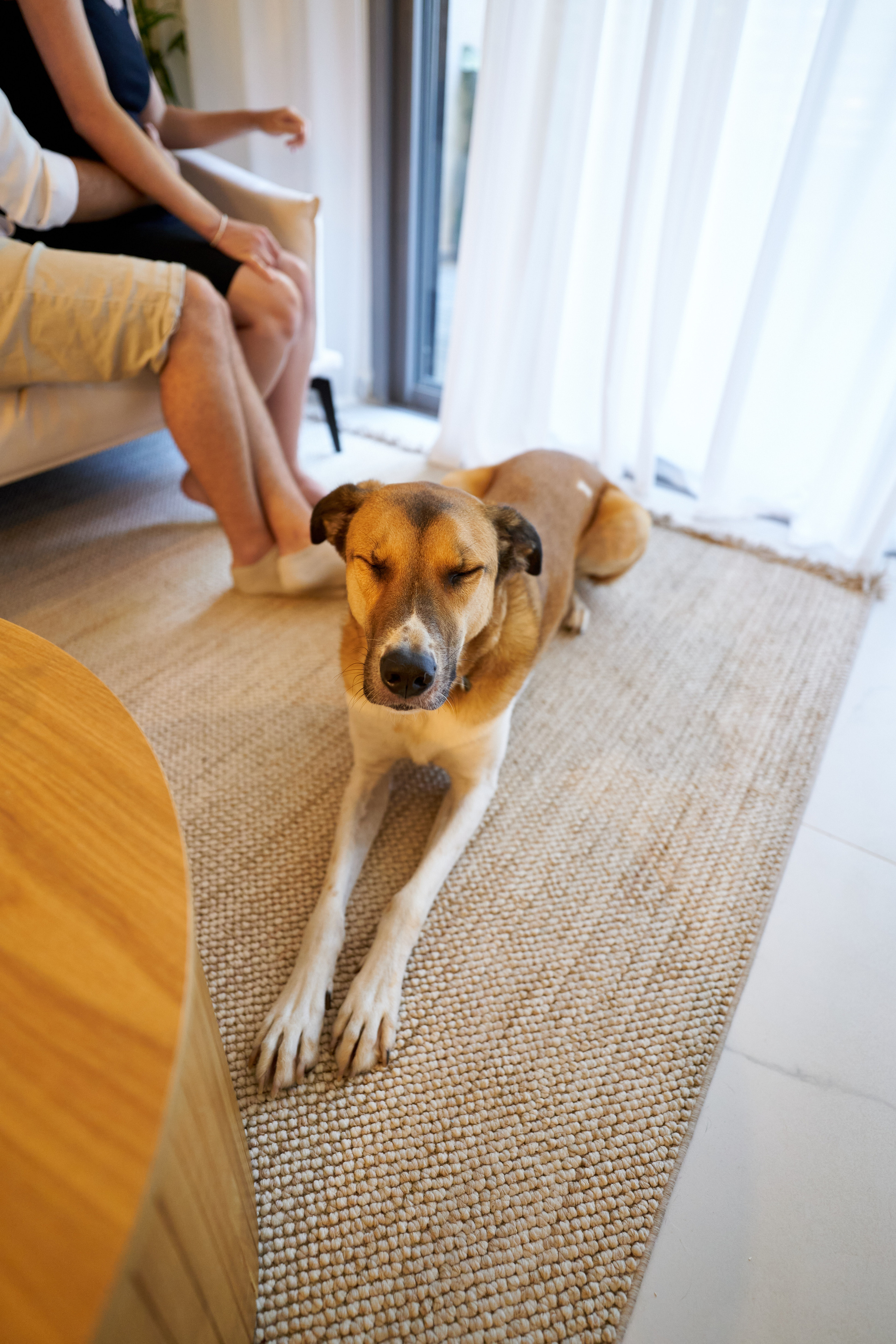 Shir&Nir. צלם אלכס ברט בישראל