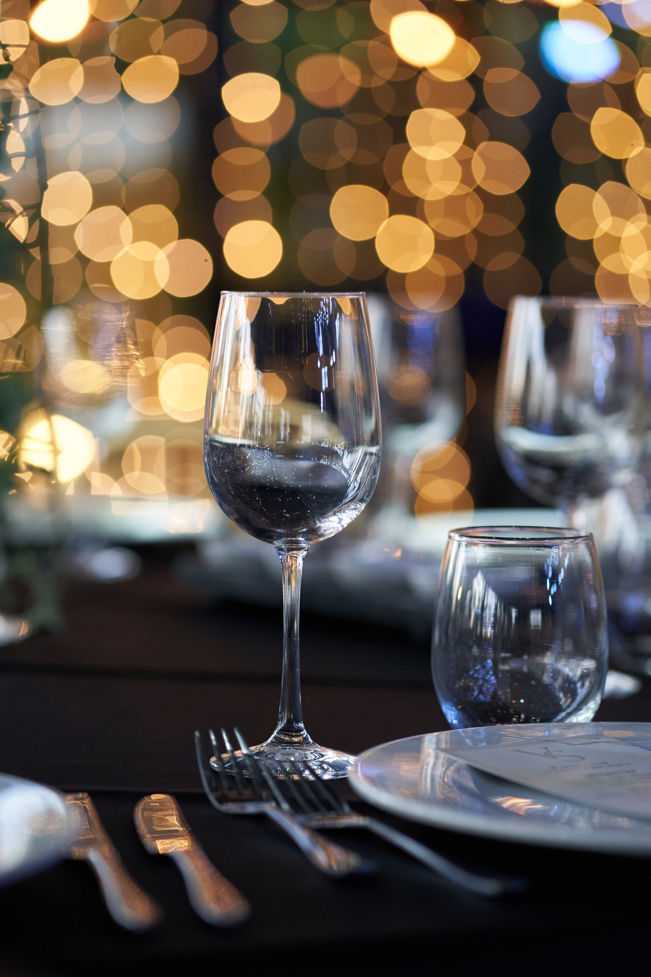 Shon&Kiki. צלם אלכס ברט בישראל