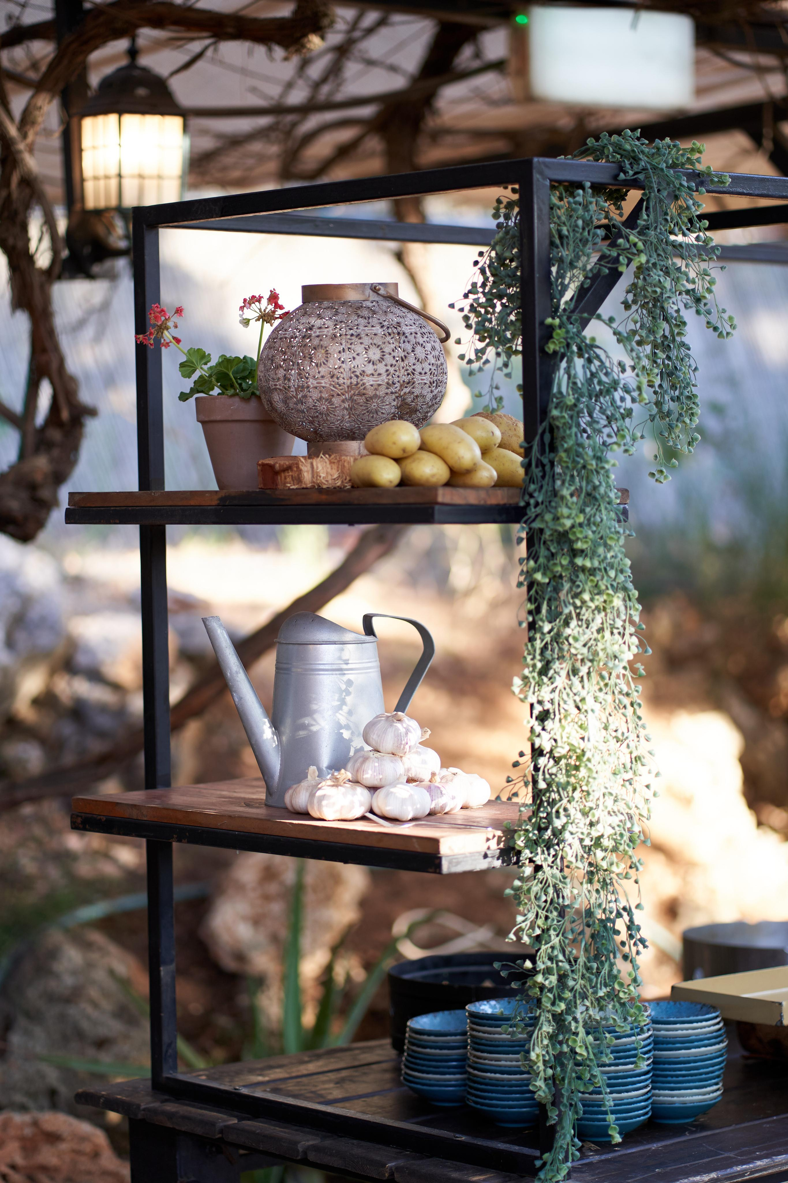 Eli&Naomi. צלם אלכס ברט בישראל