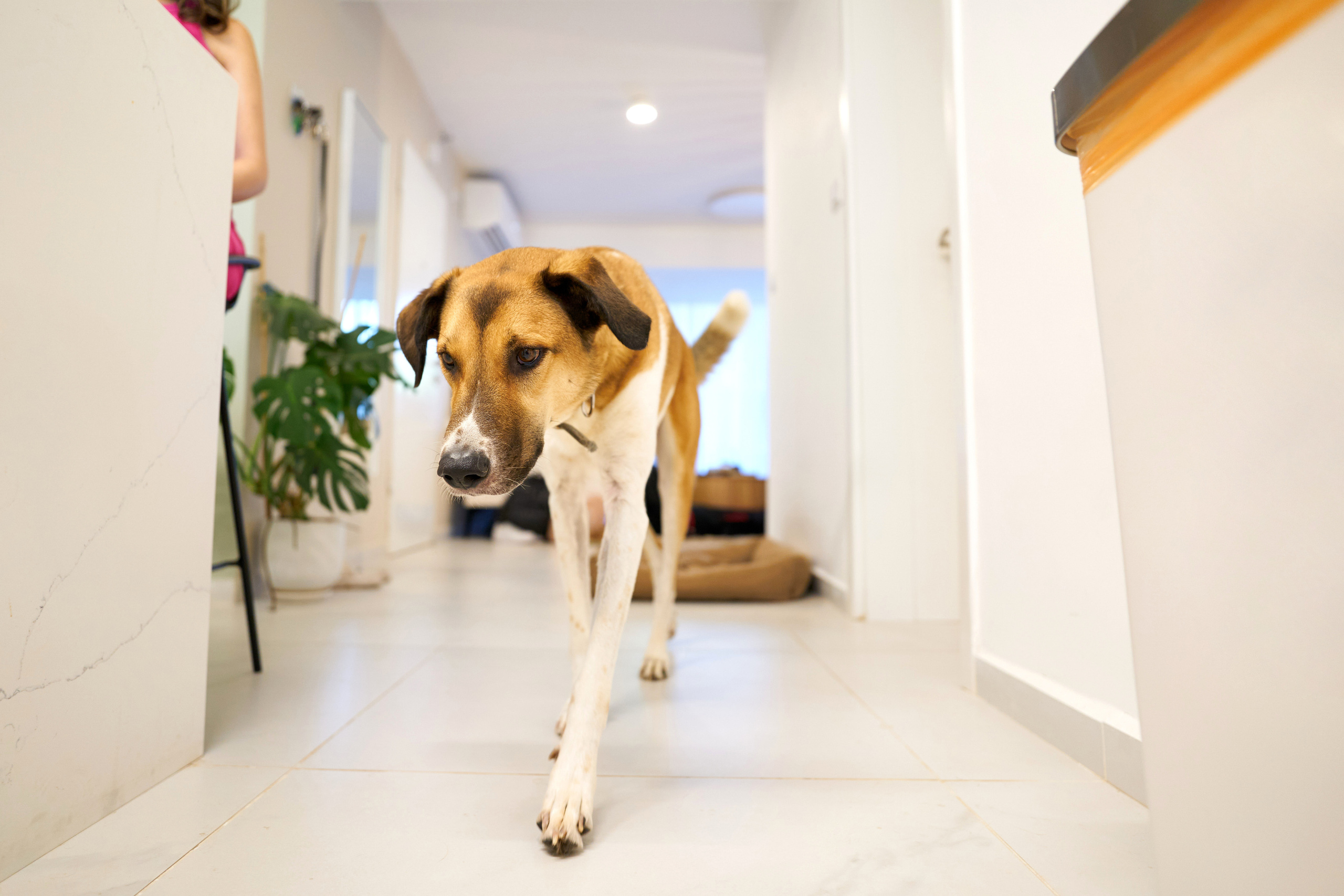 Shir&Nir. צלם אלכס ברט בישראל