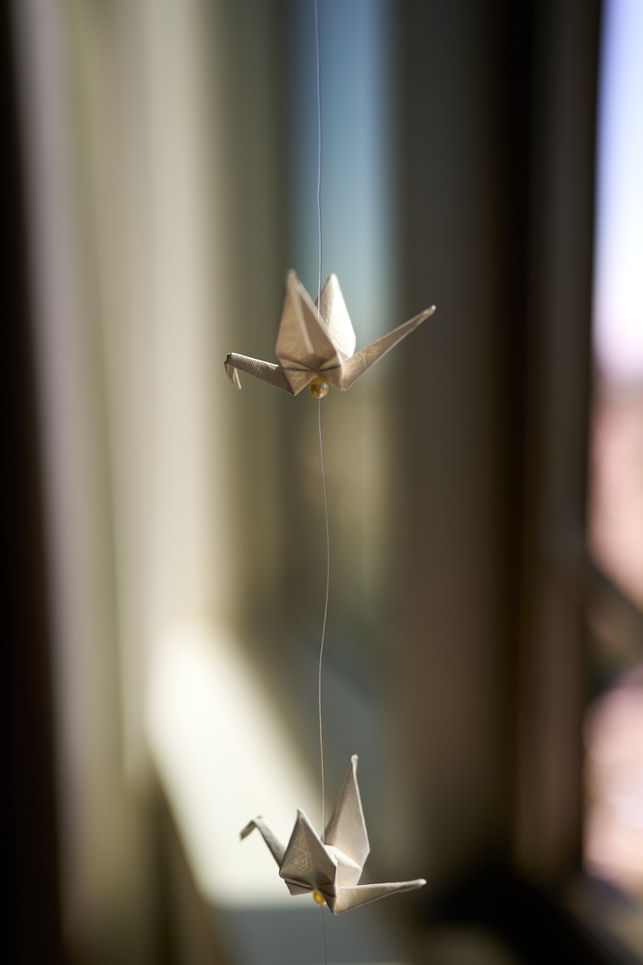 Iyar&Evgeny. צלם אלכס ברט בישראל