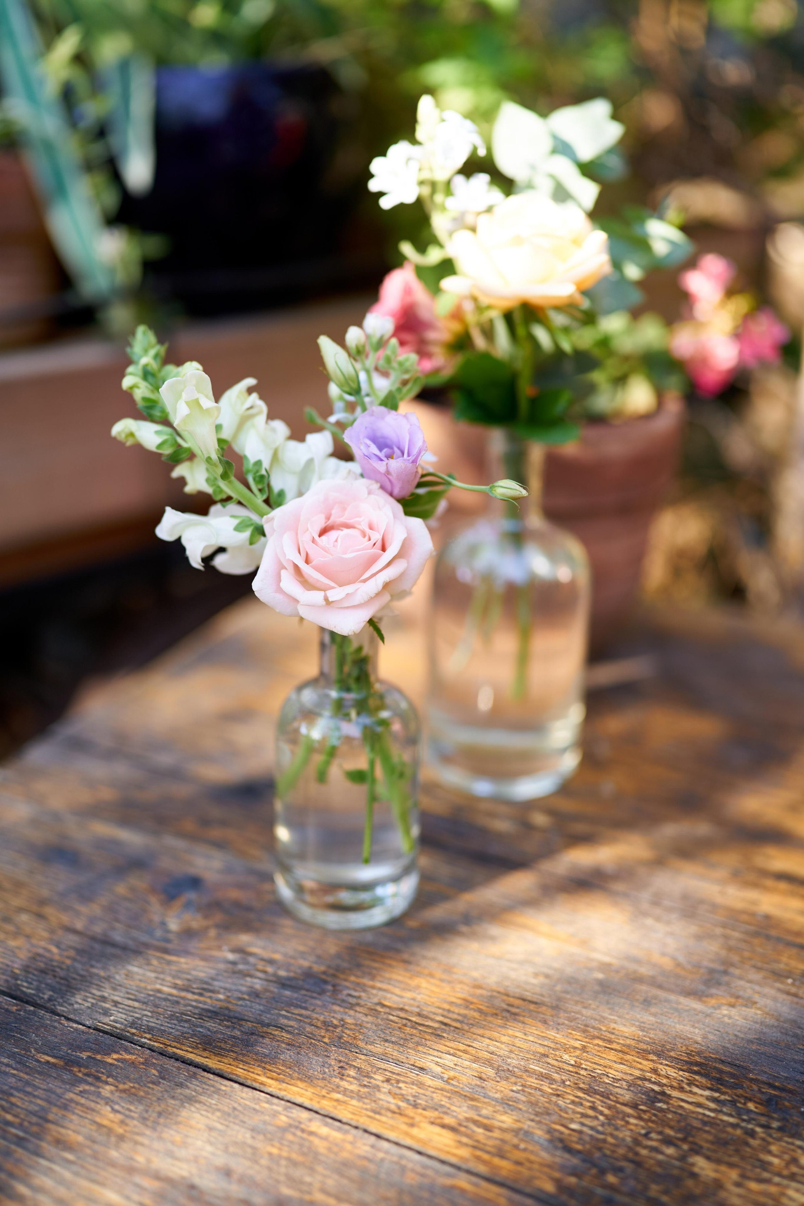 Eli&Naomi. צלם אלכס ברט בישראל