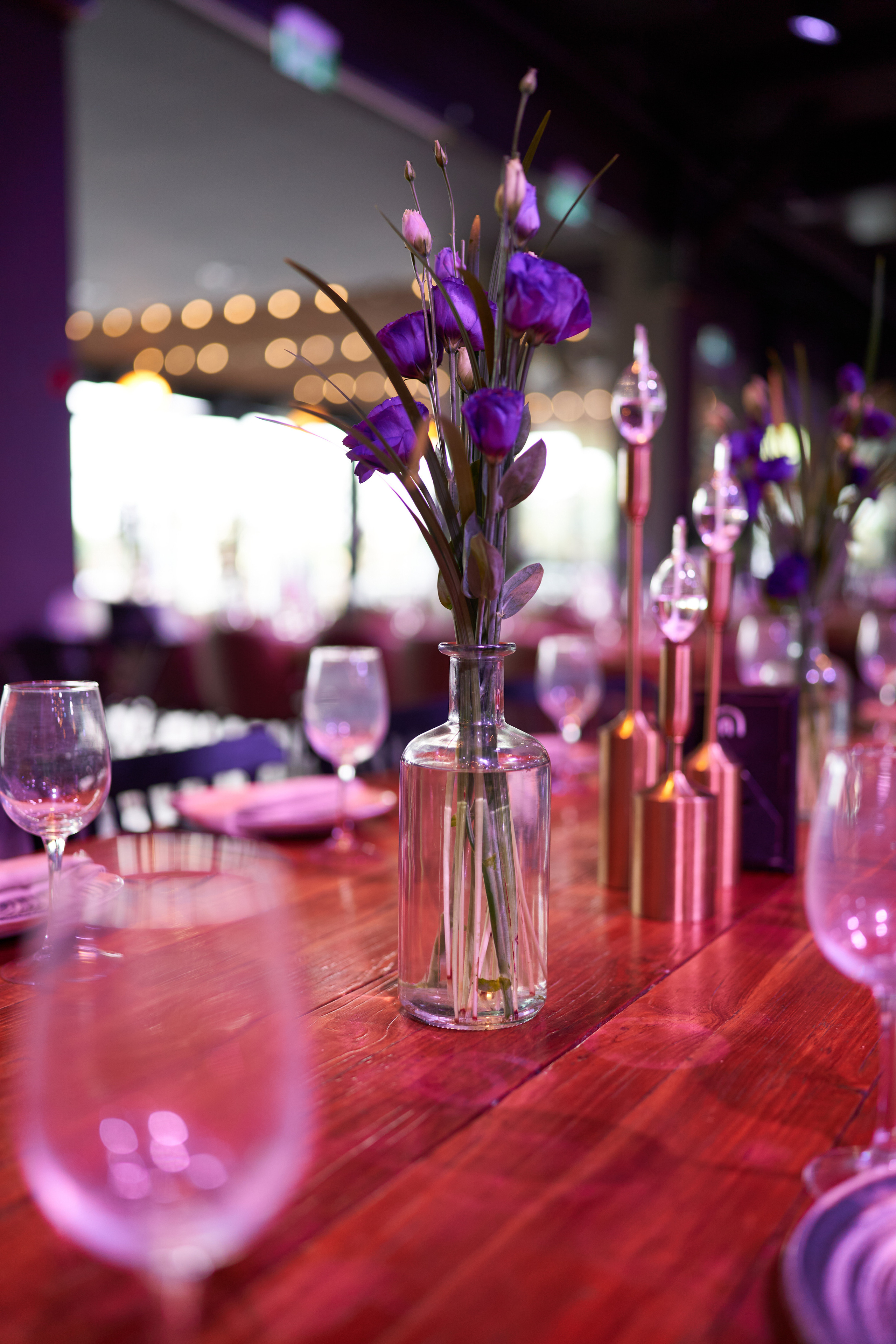 Daniel&Atara. צלם אלכס ברט בישראל