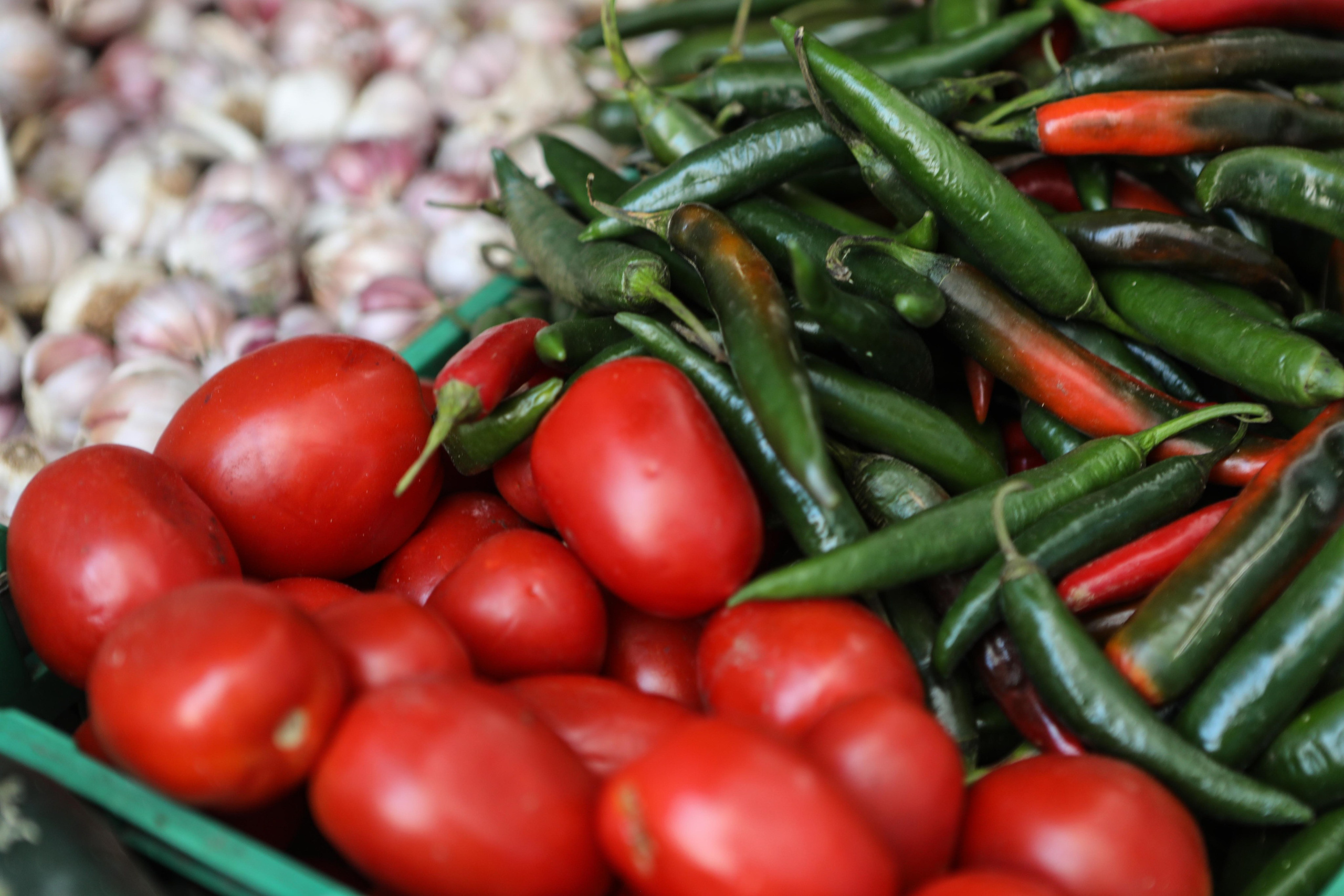 Morocco. Documentary, lifestile photographer in Morocco Marina Chaikovskaia