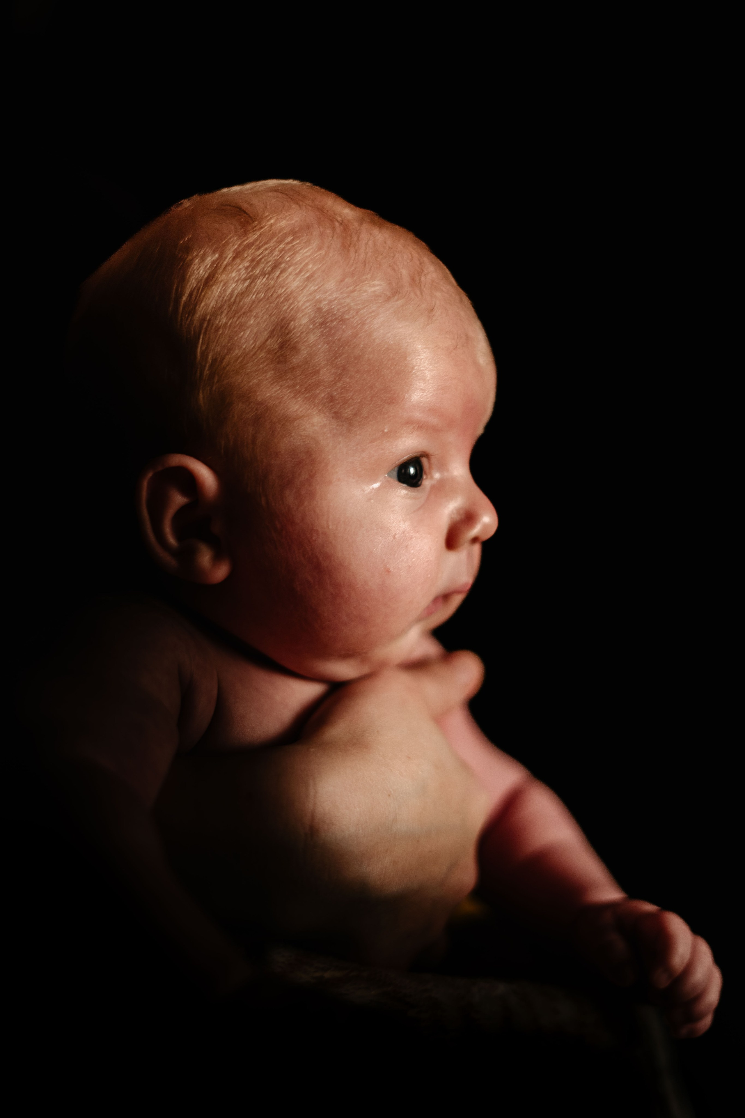 Newborn Family Shooting. Foto-Video Nunta Iasi, Suceava, Bucuresti / Disponibilitate 2025 — 2026 — 2027