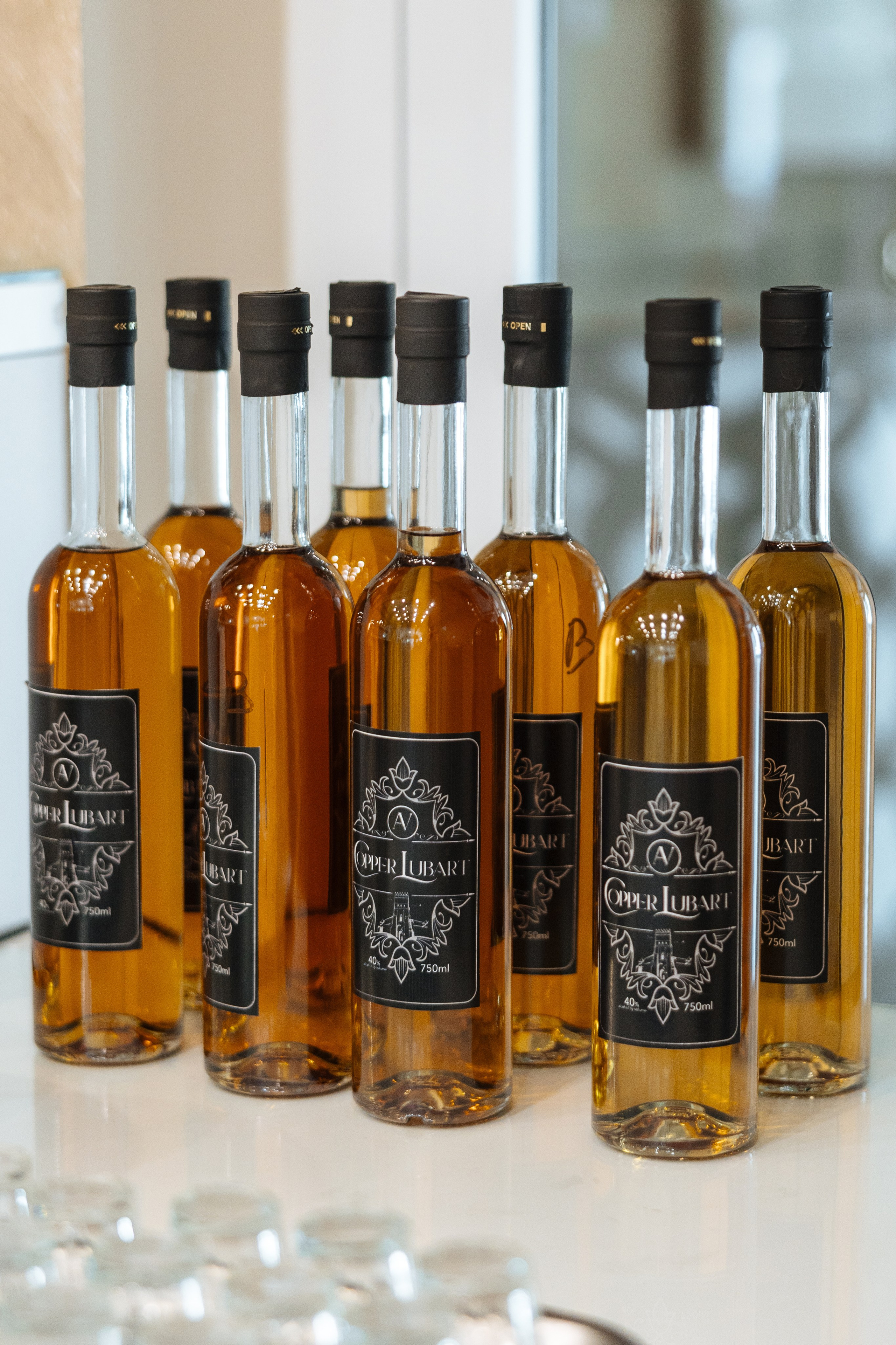 Darina Artem. Ірина Терещук