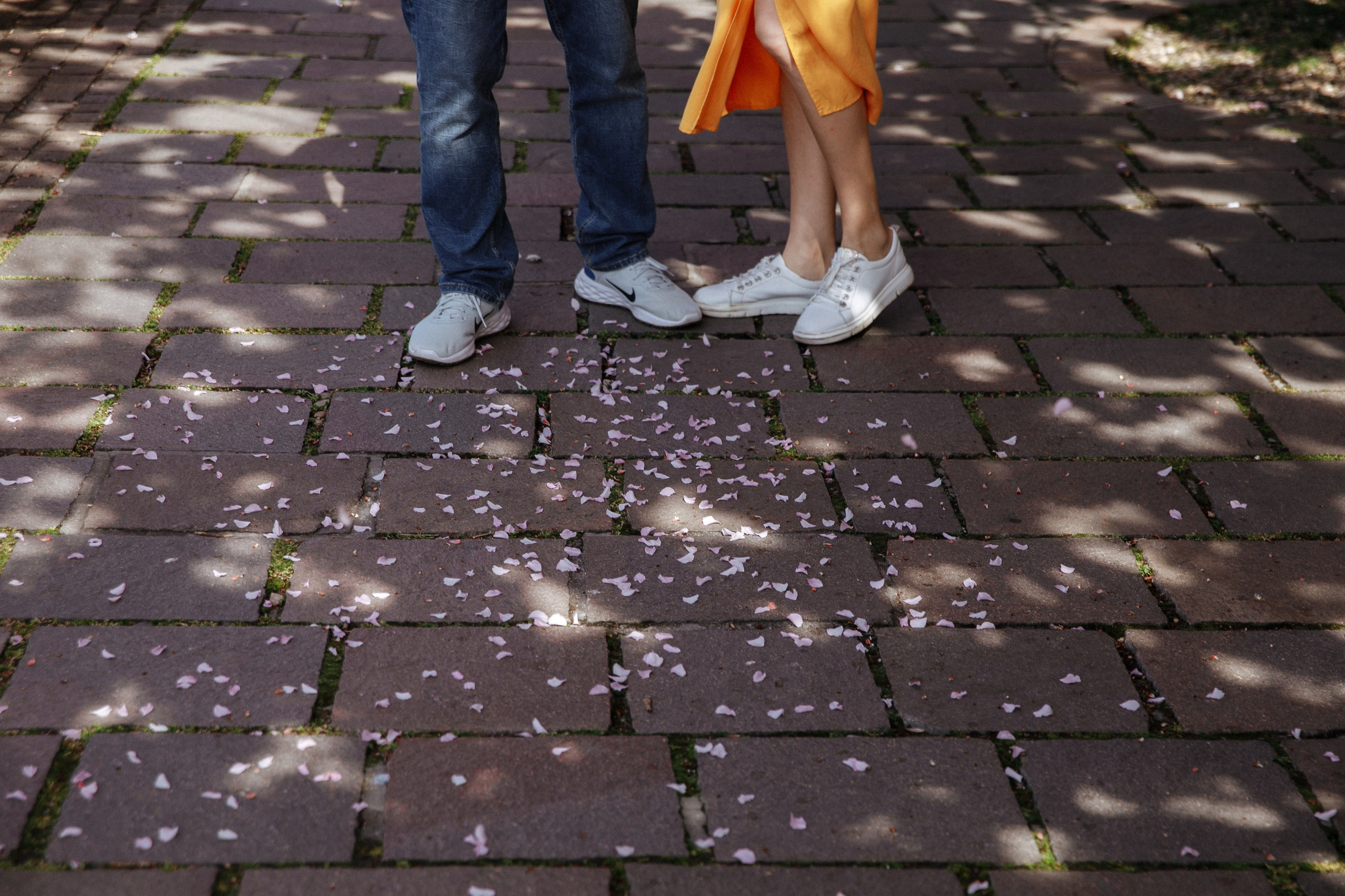 Рыбацкий бастион. Сакуры. Фотограф в Будапеште Рита Горбачева