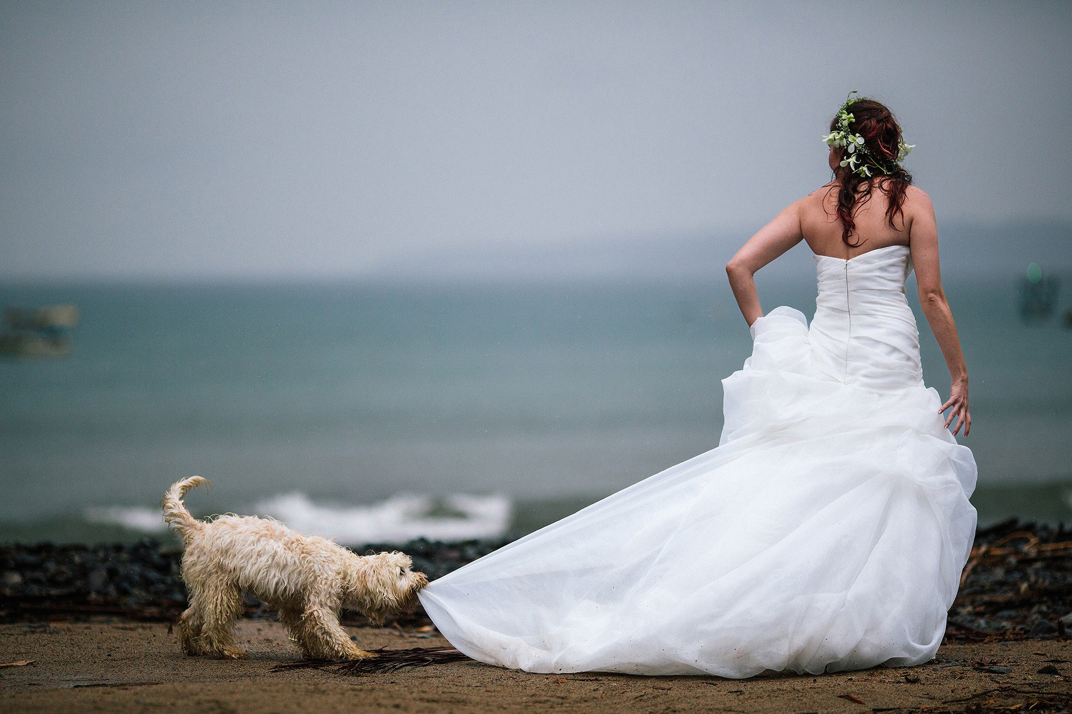 Jorge Romero Fotógrafo de bodas