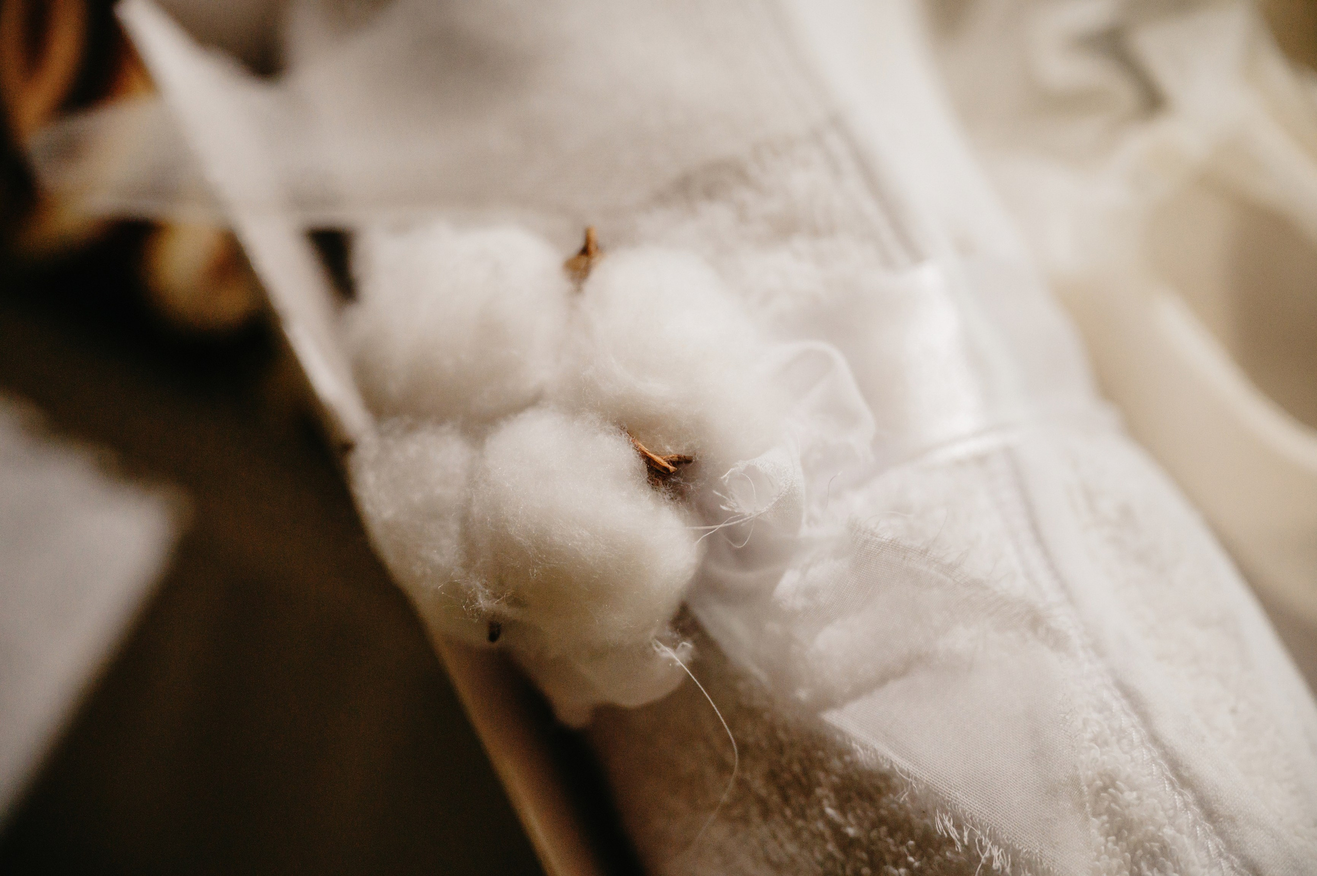 BOTEZ Ana Natasha. Laurentiu Stefan StoryTeller