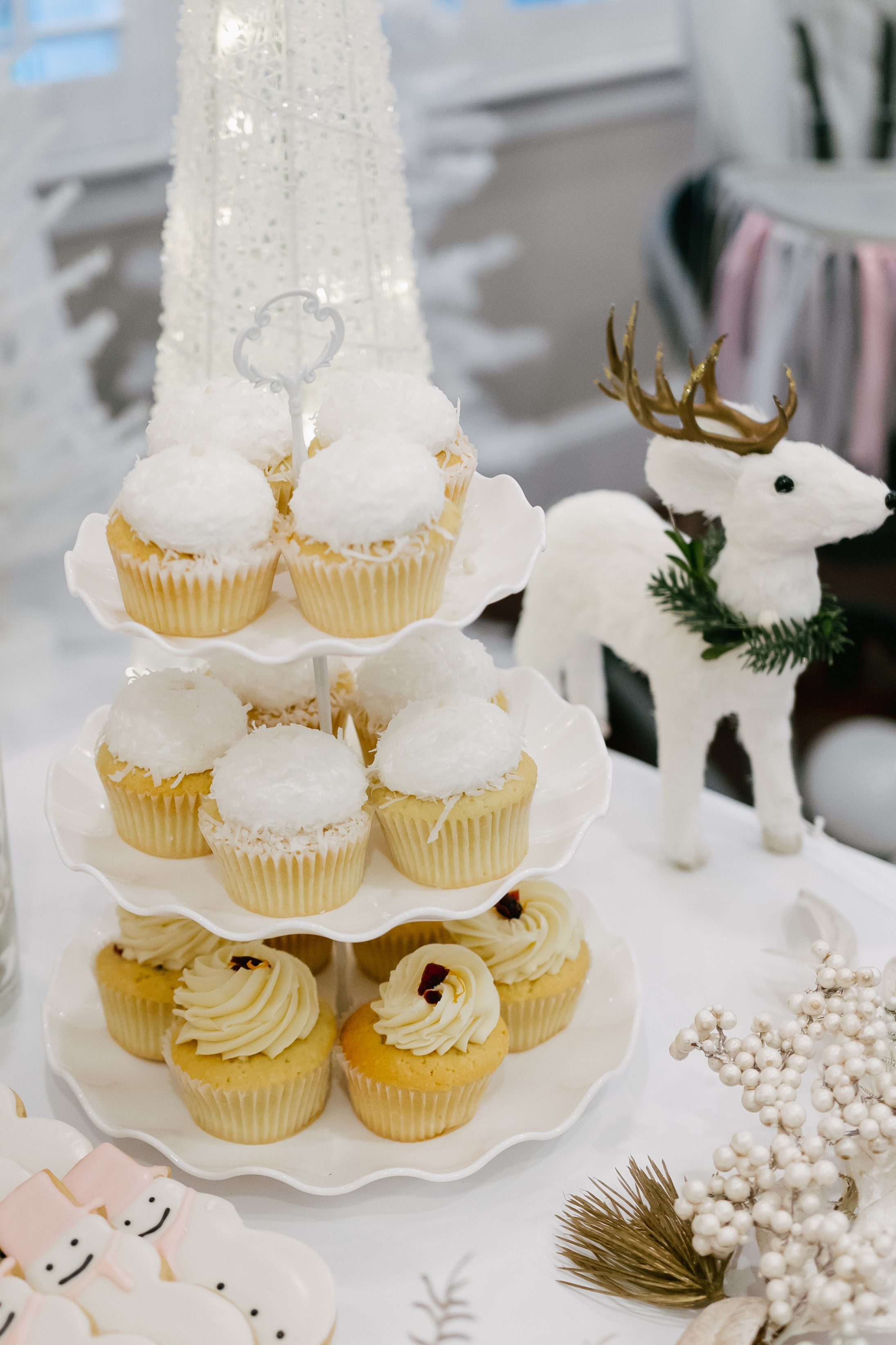 Twins Birthday. Sara Eulalia | Virginia Photographer