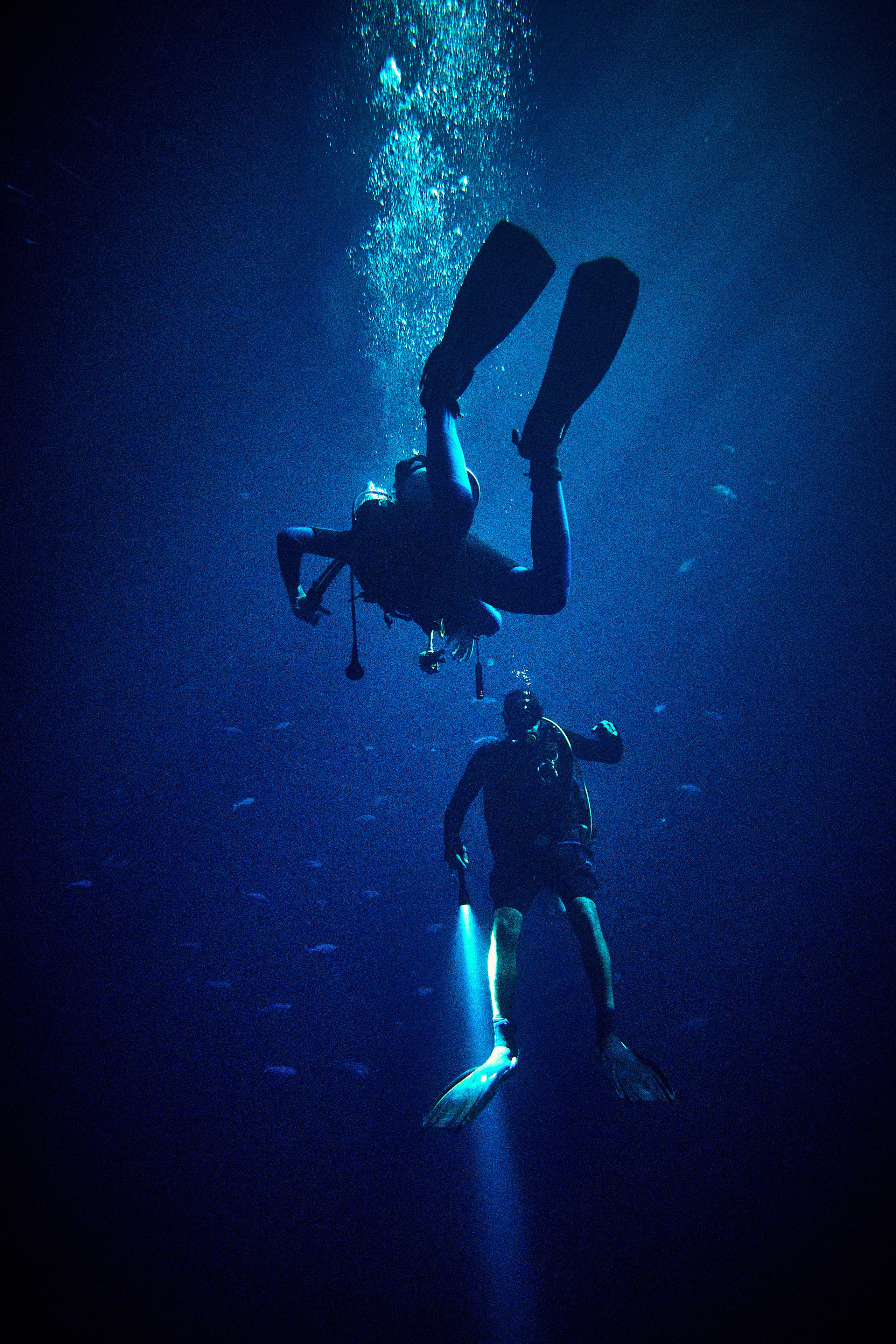 2023-11 - Diving Safari Deep South Egypt. Andriej Szypilow — Photography & Videography