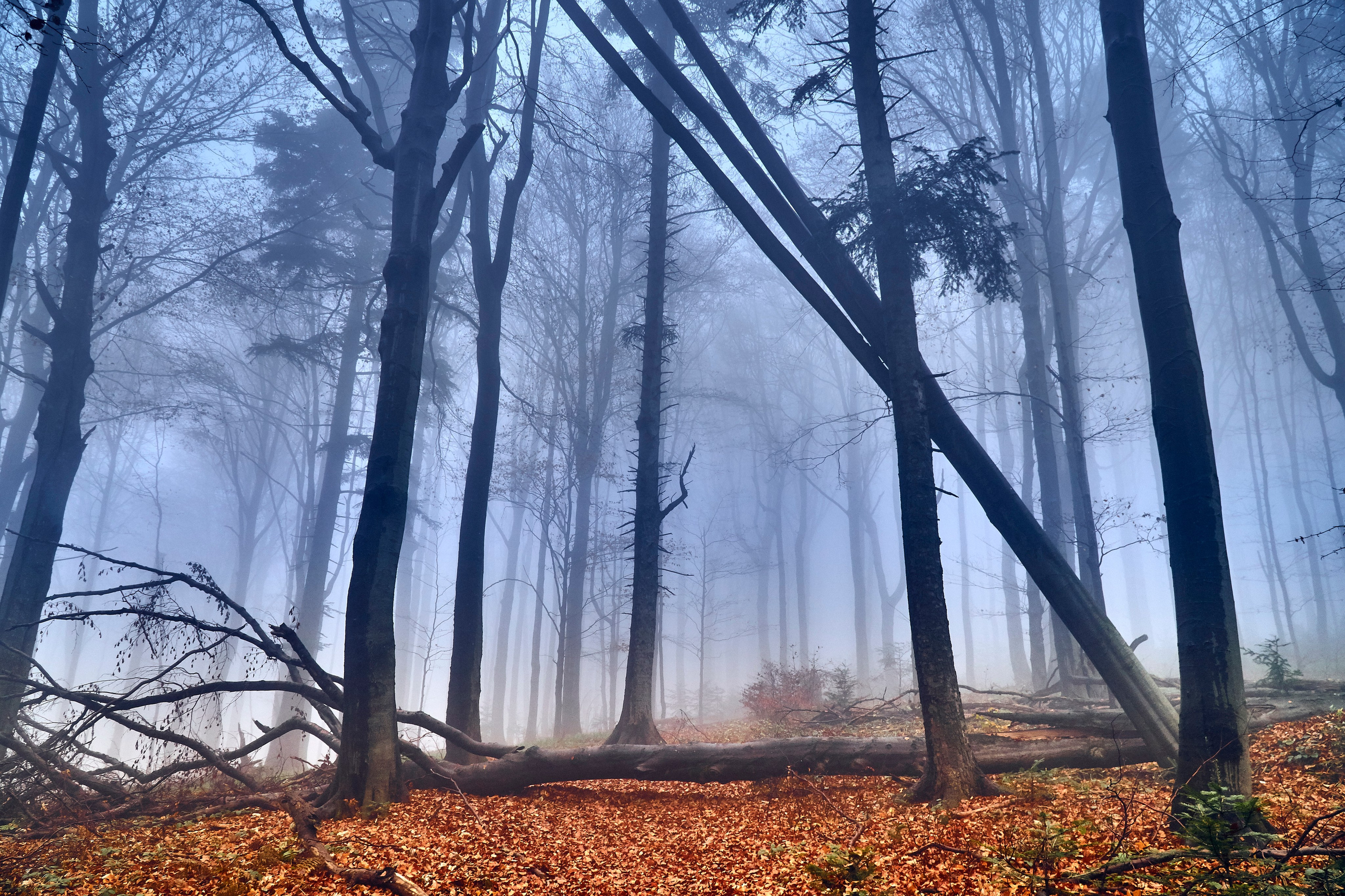 Бещады — здесь остановилось время. Андрей Шипилов — Фотография & Видеография
