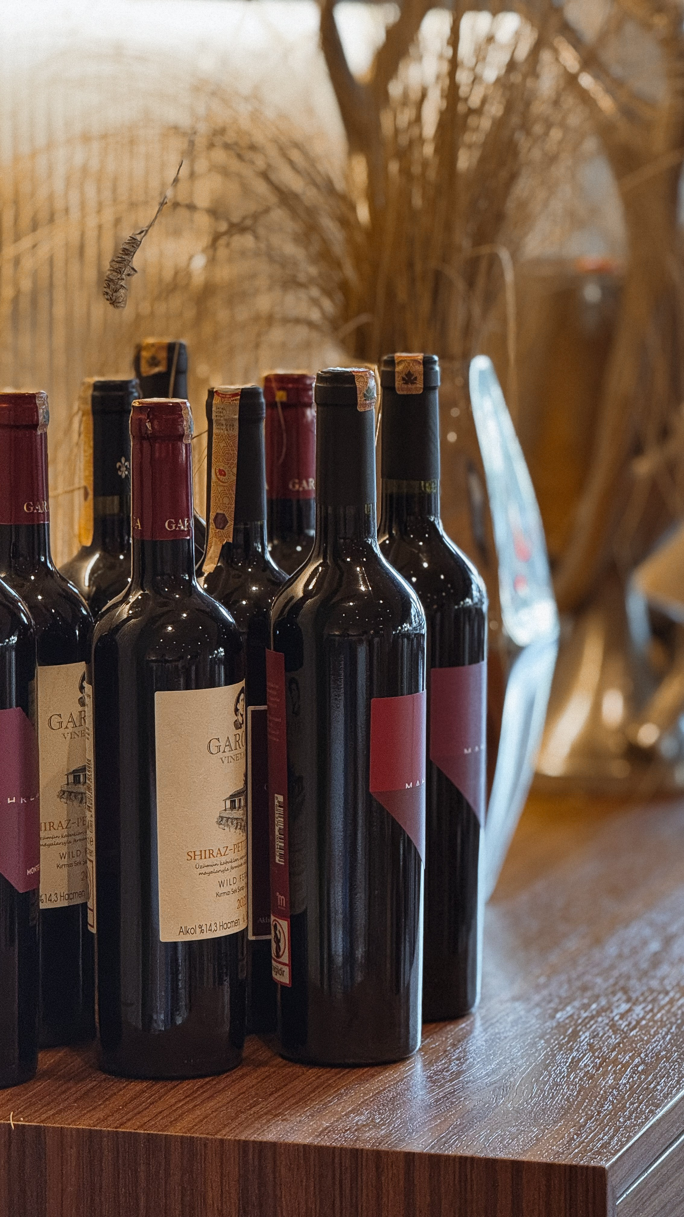 Nomades. Обучение по мобильной съемке с 0