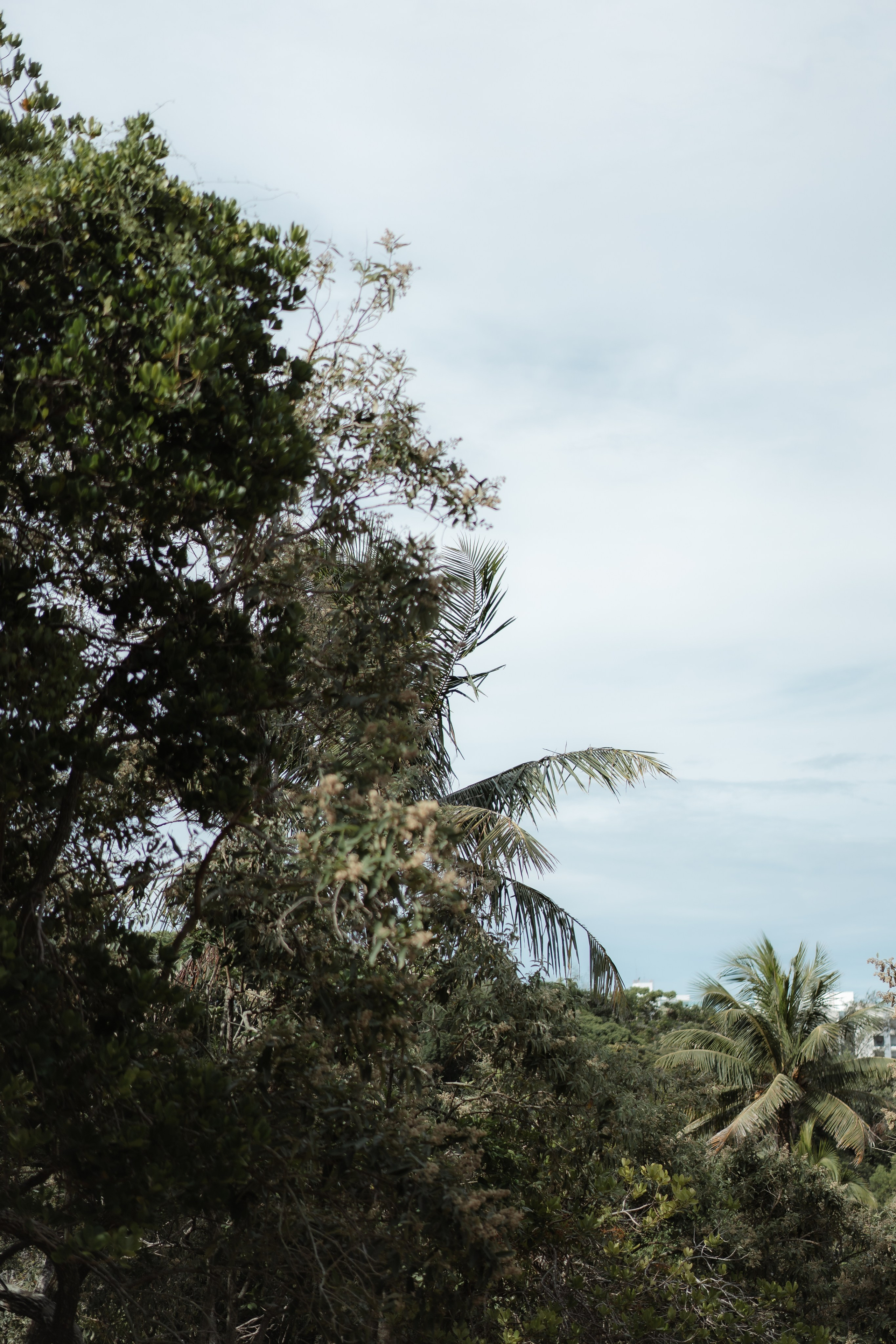 Aldre & Matheus | Guarapari. Lembrar não é só ver. É sentir de novo
