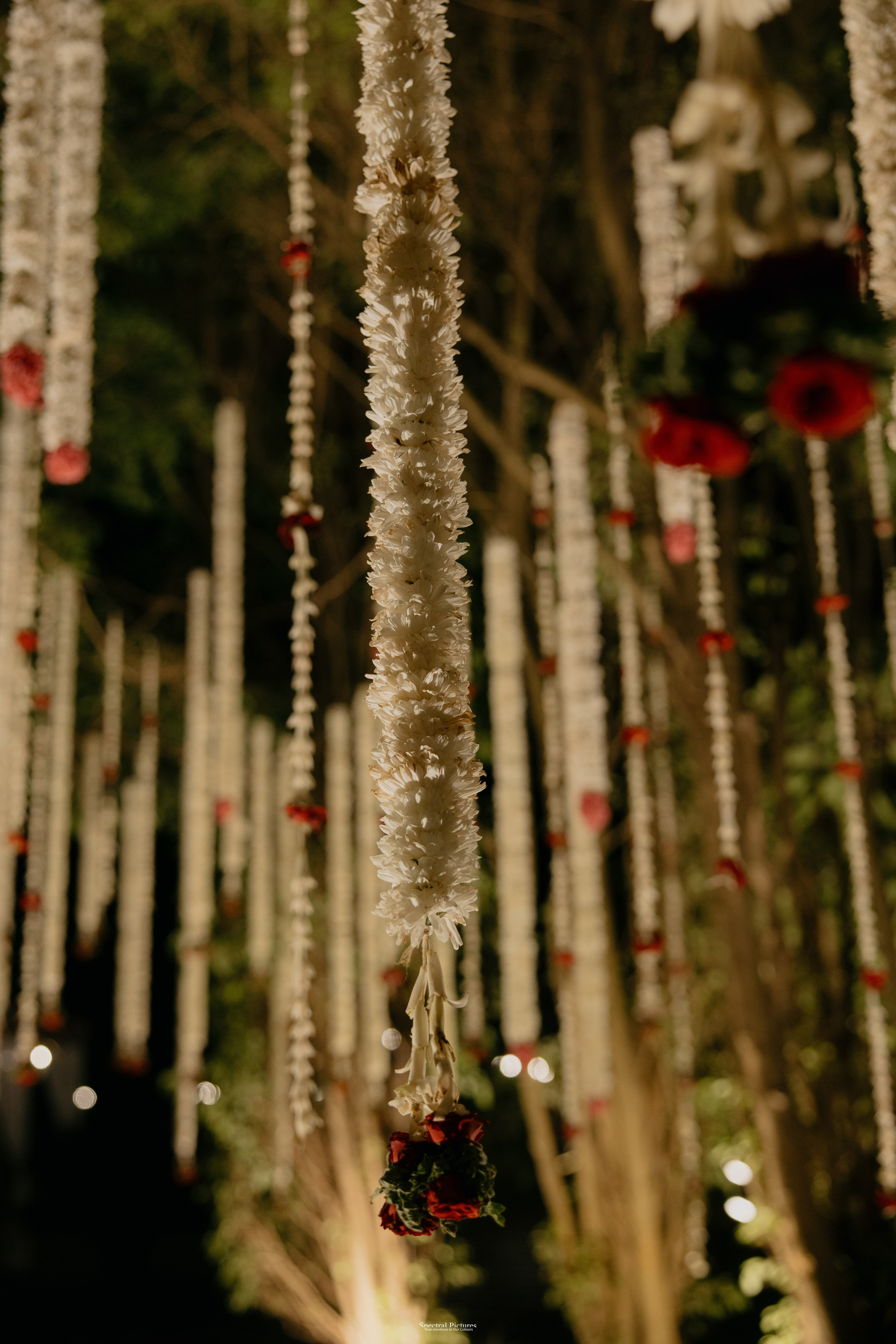 Tejas & Roopa | A Degree in Love, Certified by Marriage