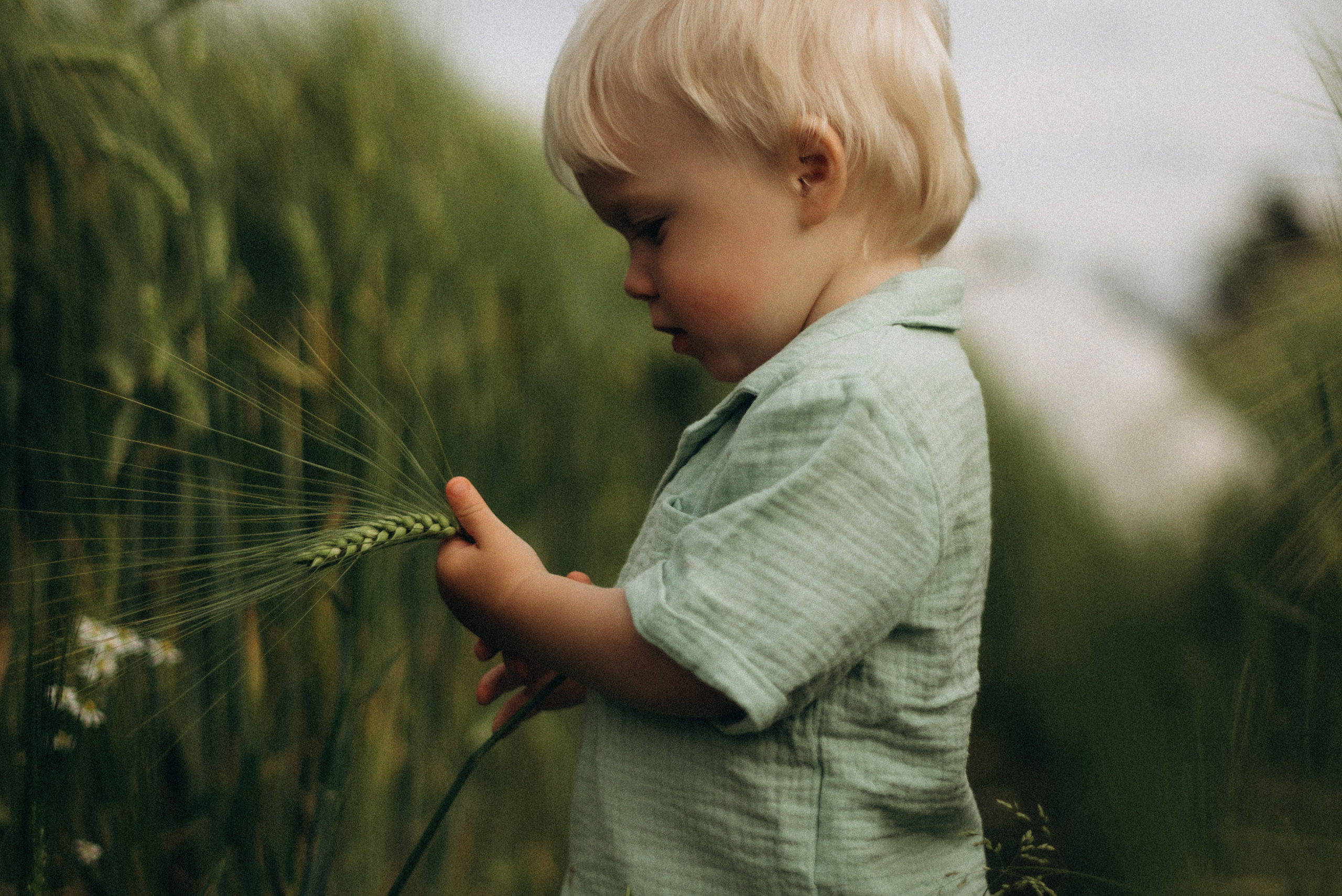 Семейная фотосессия в клубнике. Семейный фотограф Лейпциг, Германия