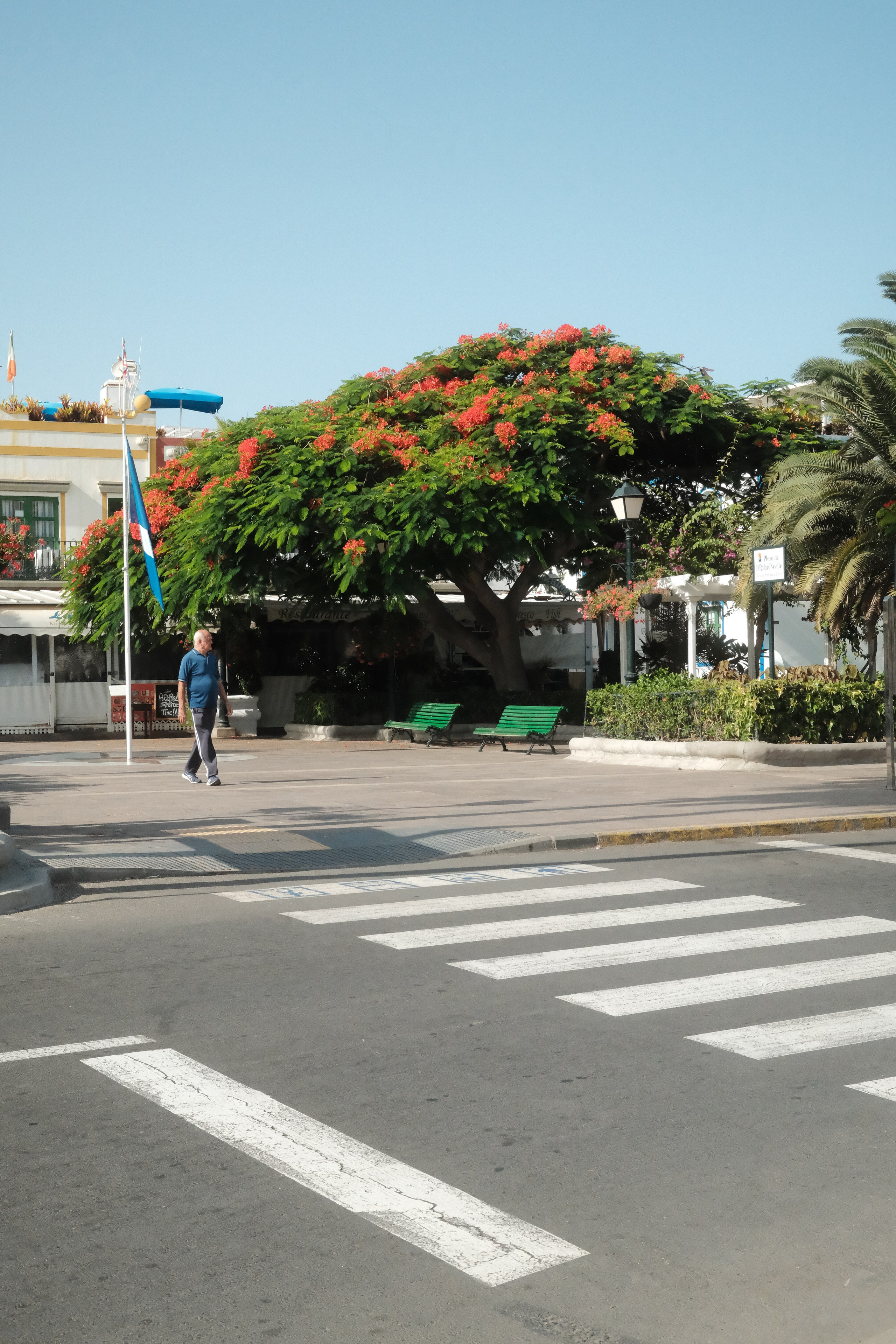 Gran Canaria 2025. Cal Takes Photos