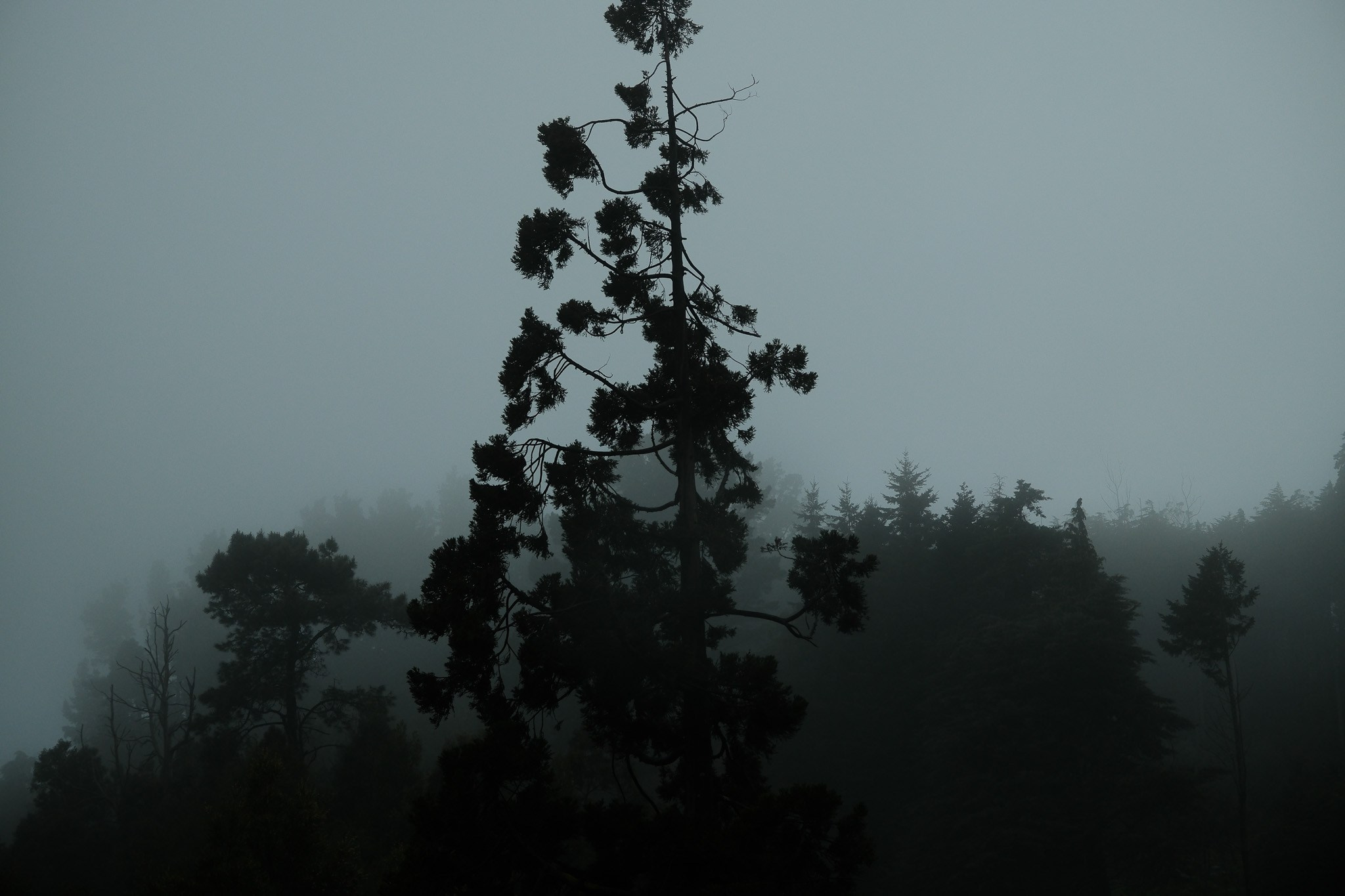 Madeira 2025. Cal Takes Photos