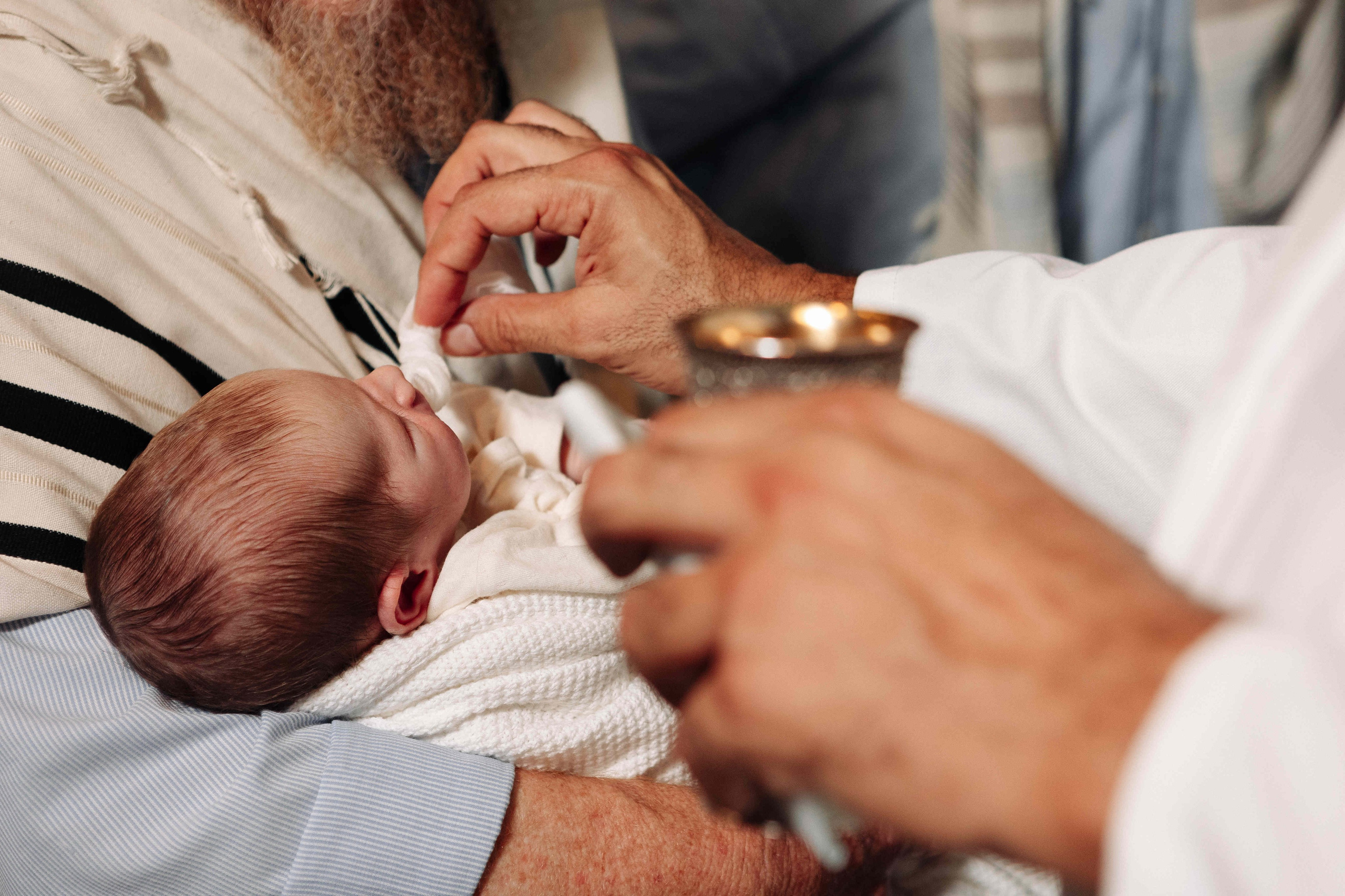 BRIT MILA IN NATURE IN JERUSALEM. Https://shi-photo.com/