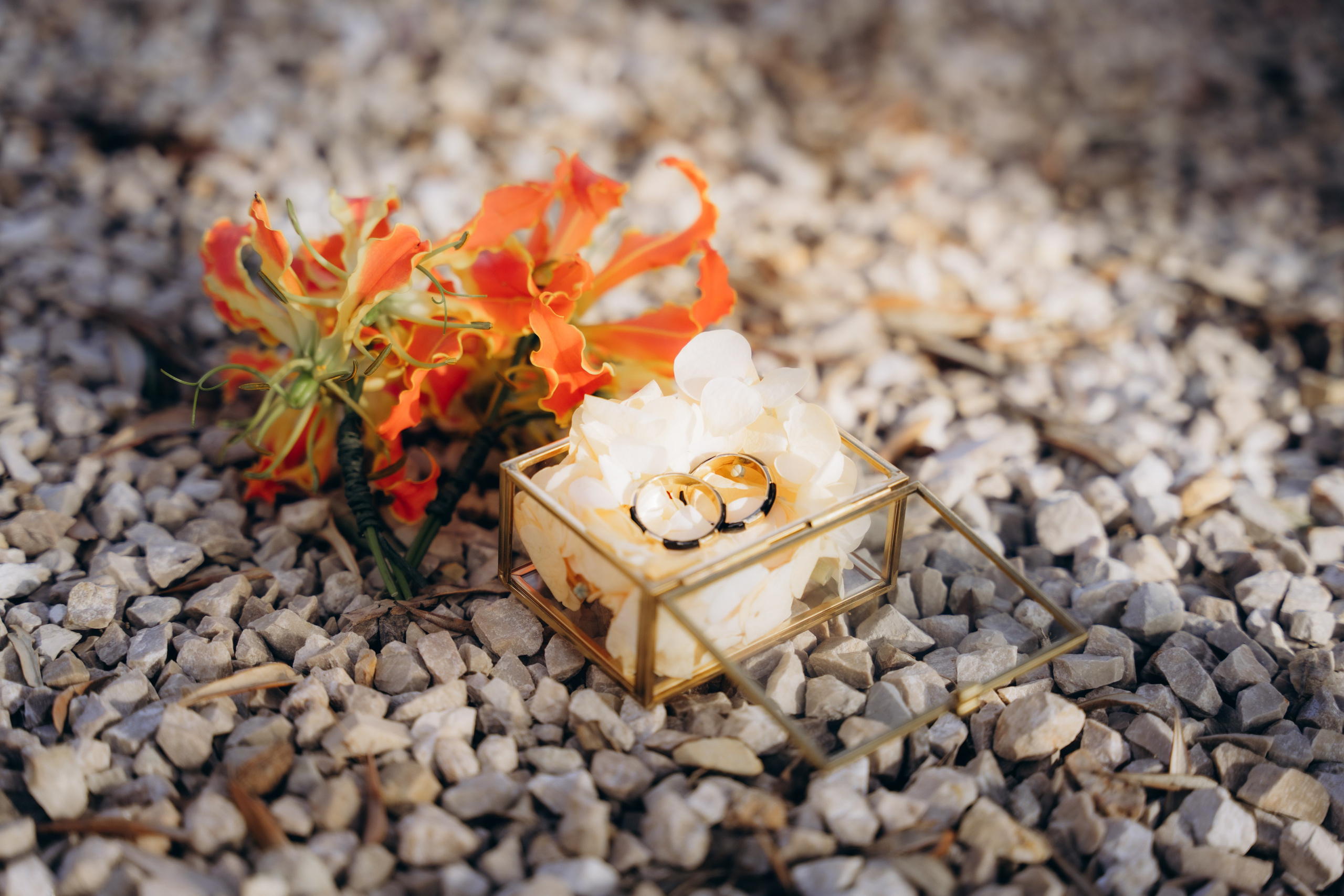 Wedding | Binissati. Elena Seewald