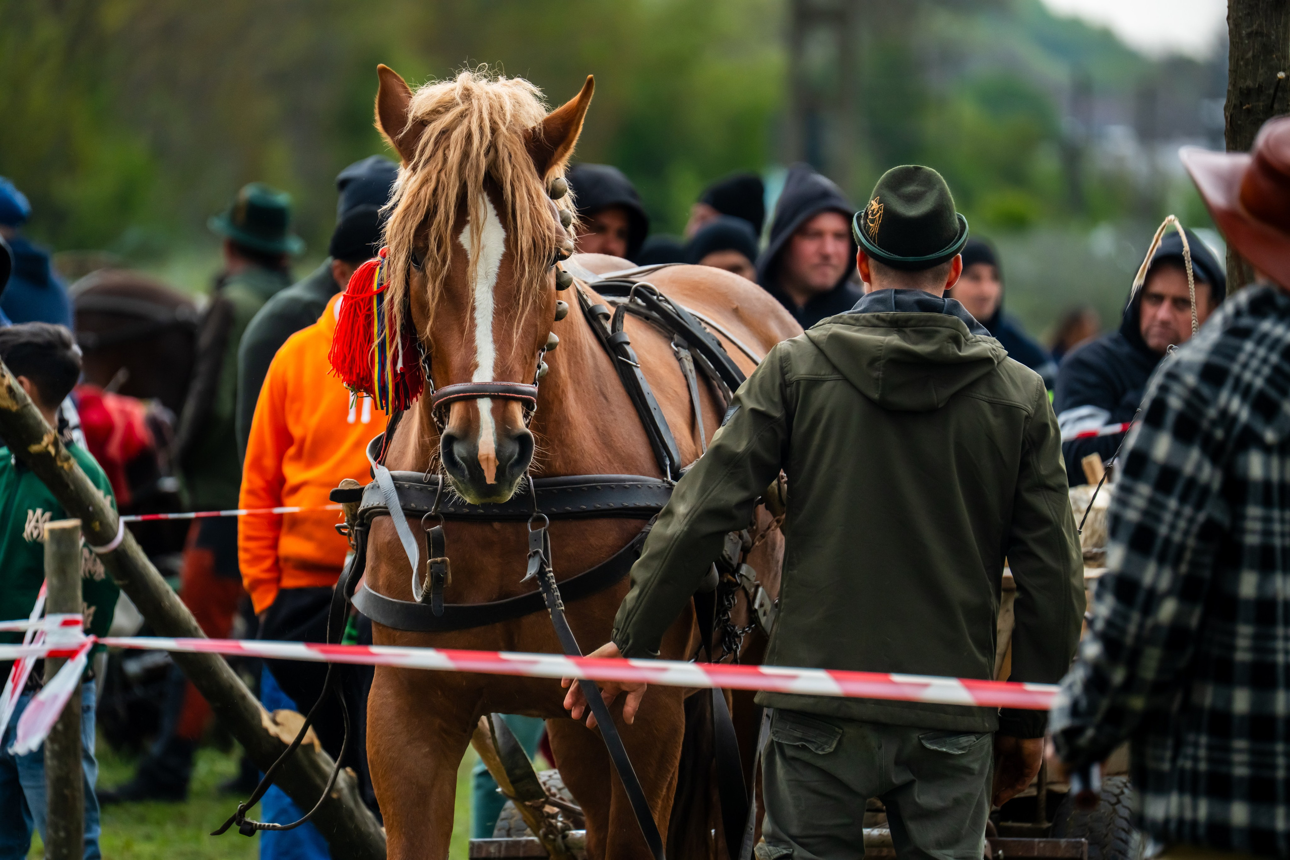 Concurs Ecvestru Vărbilău ediția a 4-a. Mihai Alexandra Events
