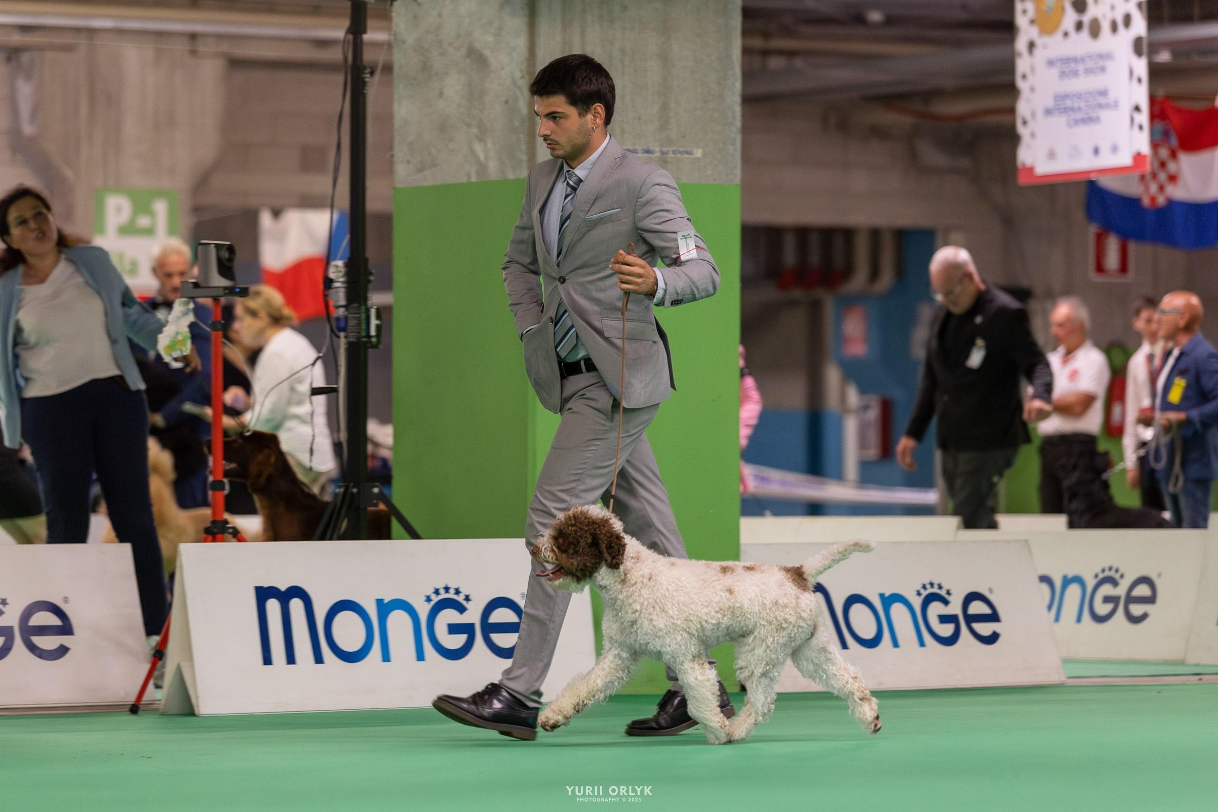Dog Shows. Yurii Orlyk Photography
