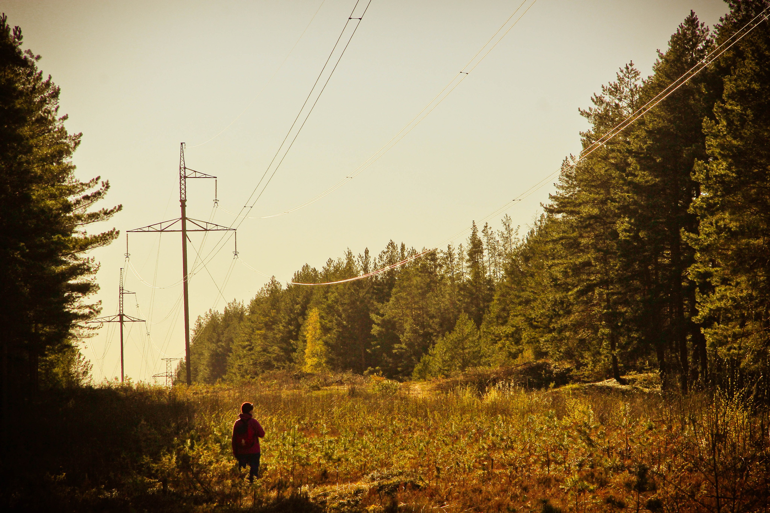 2012. Стрит-фотография, полная абсурда, идиотизма и красоты